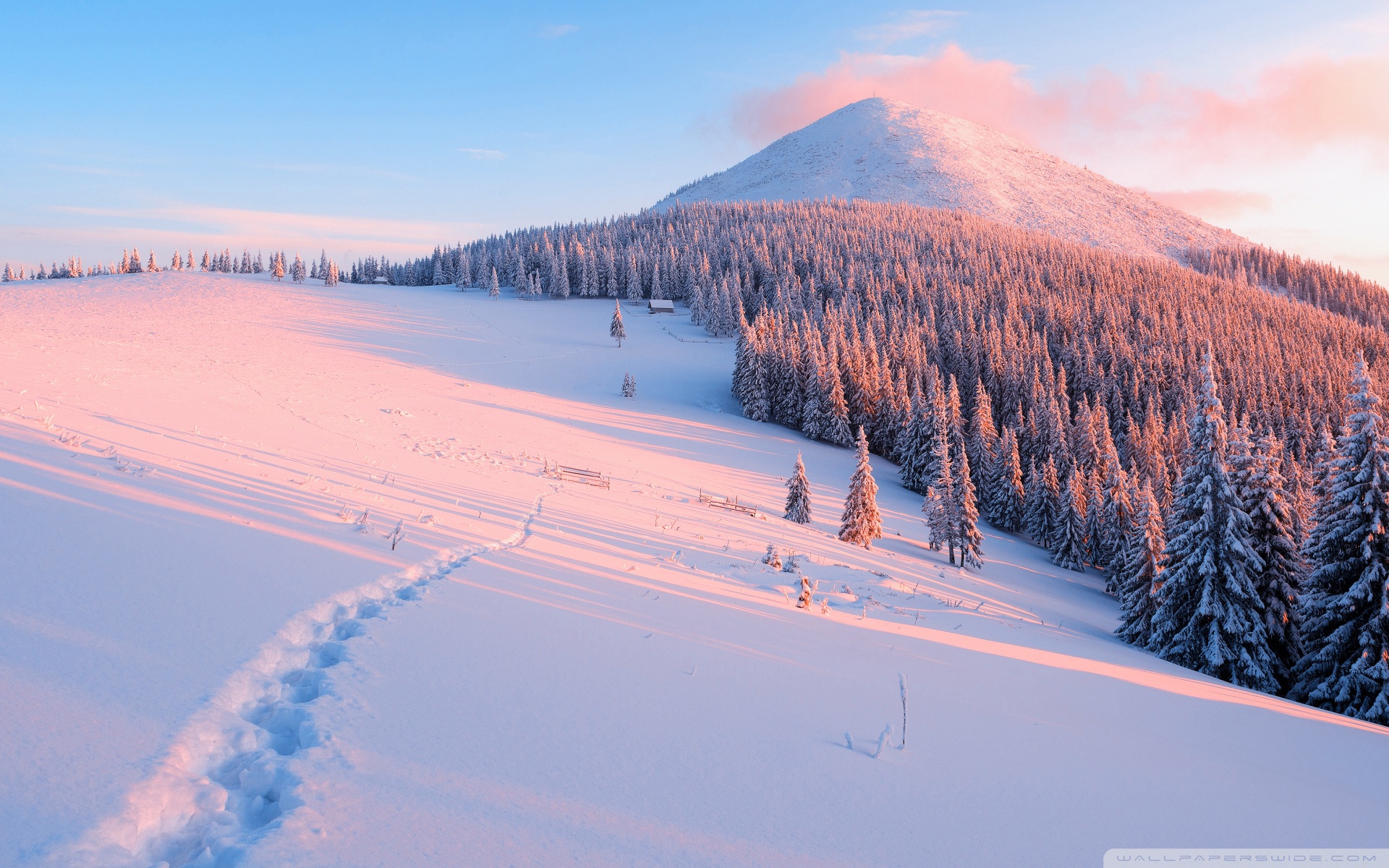 Winter, Nature Ultra HD Desktop Background Wallpaper for: Widescreen & UltraWide Desktop & Laptop, Multi Display, Dual Monitor, Tablet