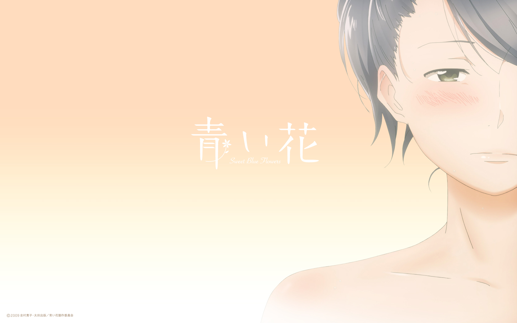 Aoi Hana Wallpapers Wallpaper Cave