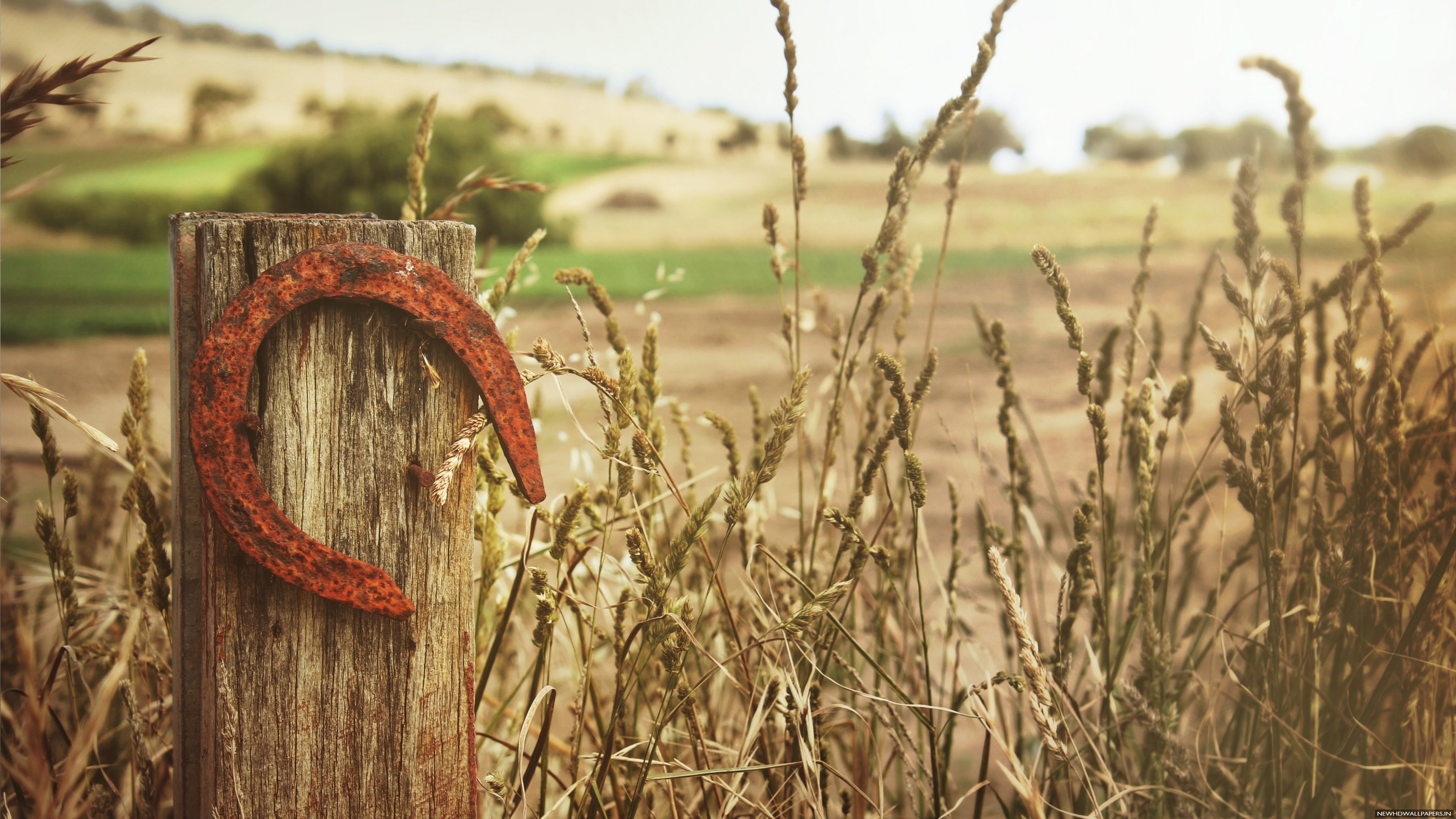 Horse Shoes Wallpapers - Wallpaper Cave