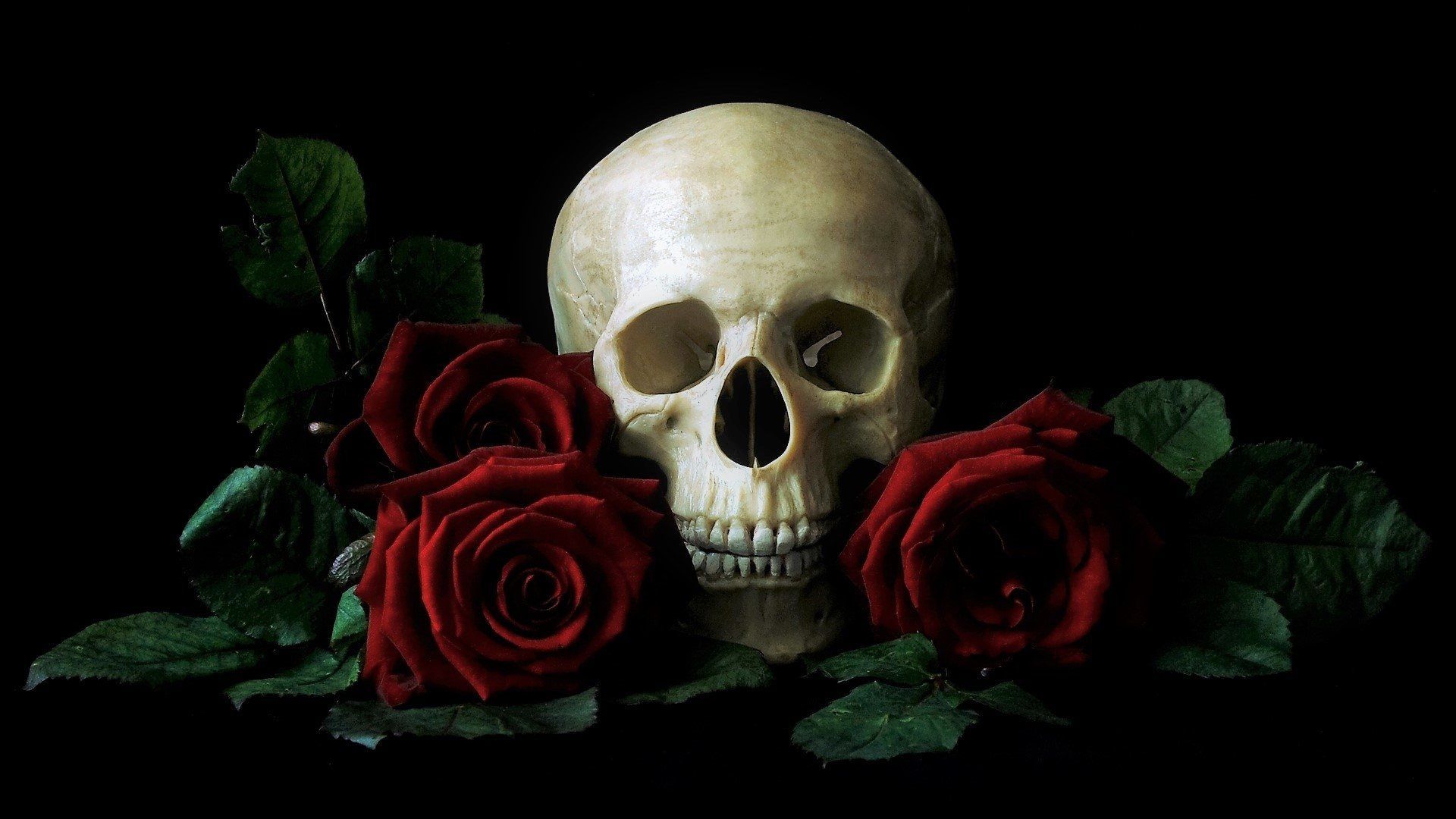 Black Skull with Rose Wallpaper