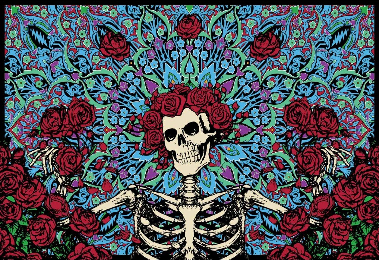 skeleton, Skull, Dia de muertos, Rose Wallpaper HD / Desktop and Mobile Background