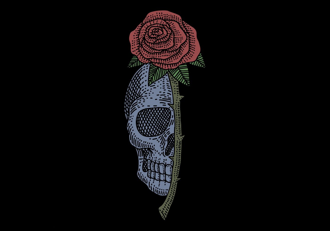 Download Love Skulls and Roses Wallpaper  Wallpaperscom