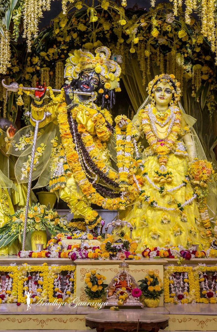 ISKCON Mayapur. Radha krishna image, Lord krishna wallpaper, Radha krishna holi