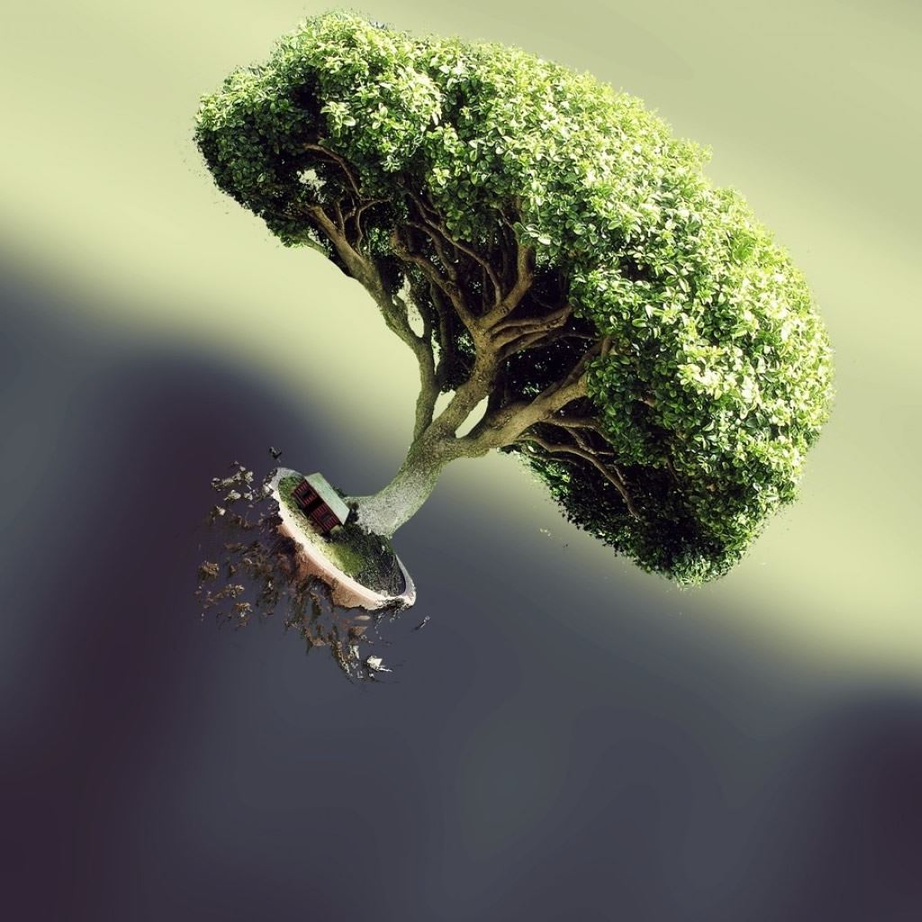 Tree Roots iPad Wallpaper Free Download