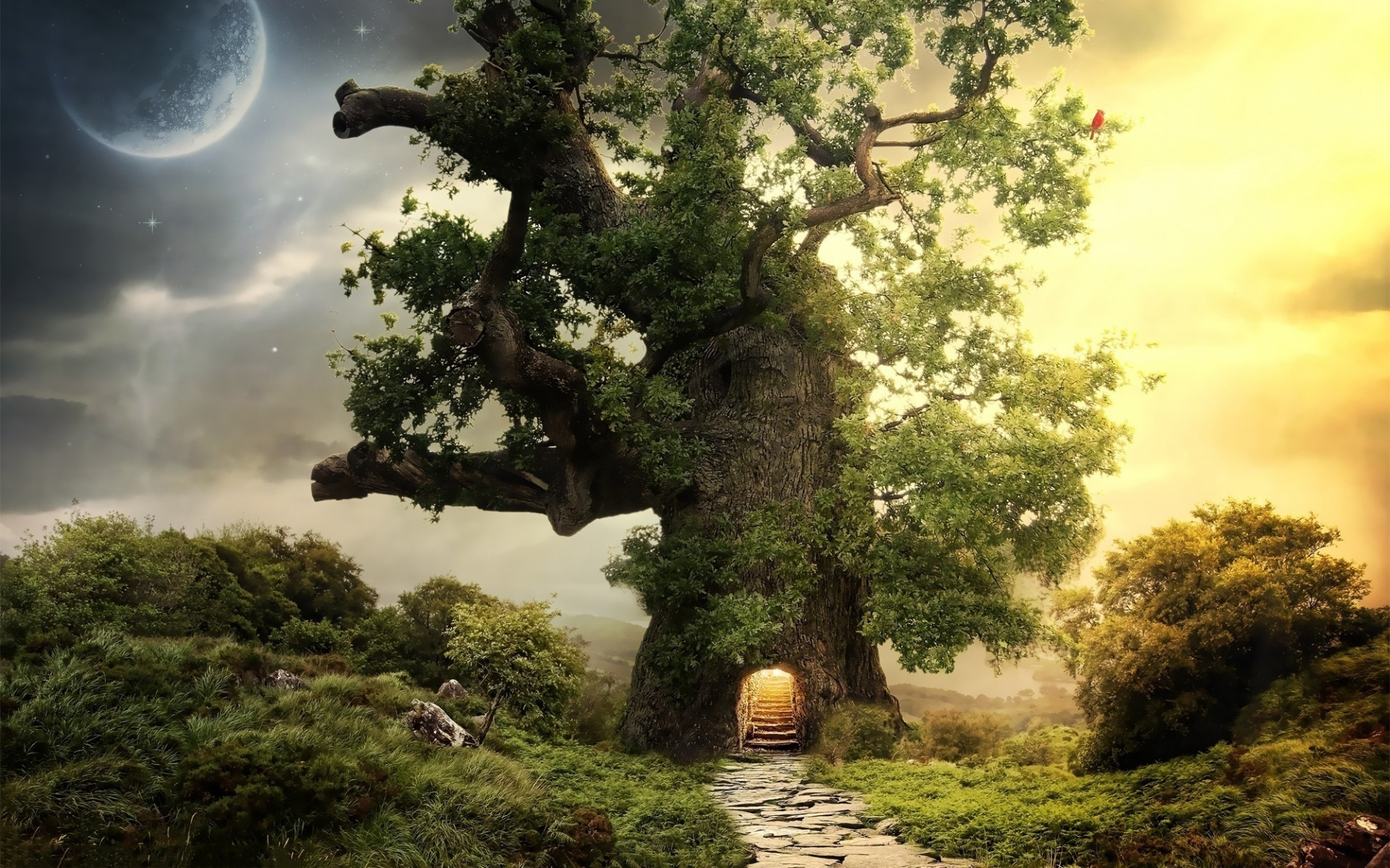 Fantasy house tree wallpaperx1200