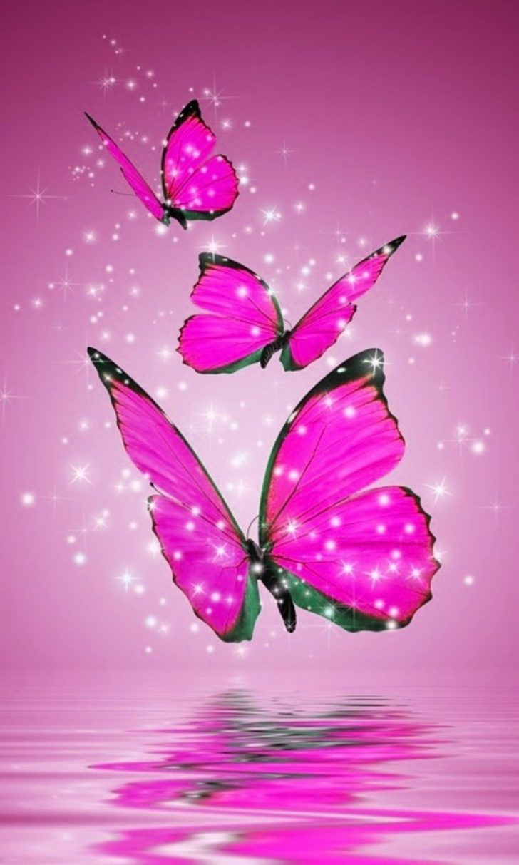 glitter live wallpaper, butterfly, pink, insect, purple, violet