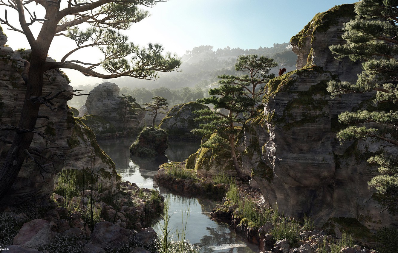 Pinus Wallpapers - Wallpaper Cave