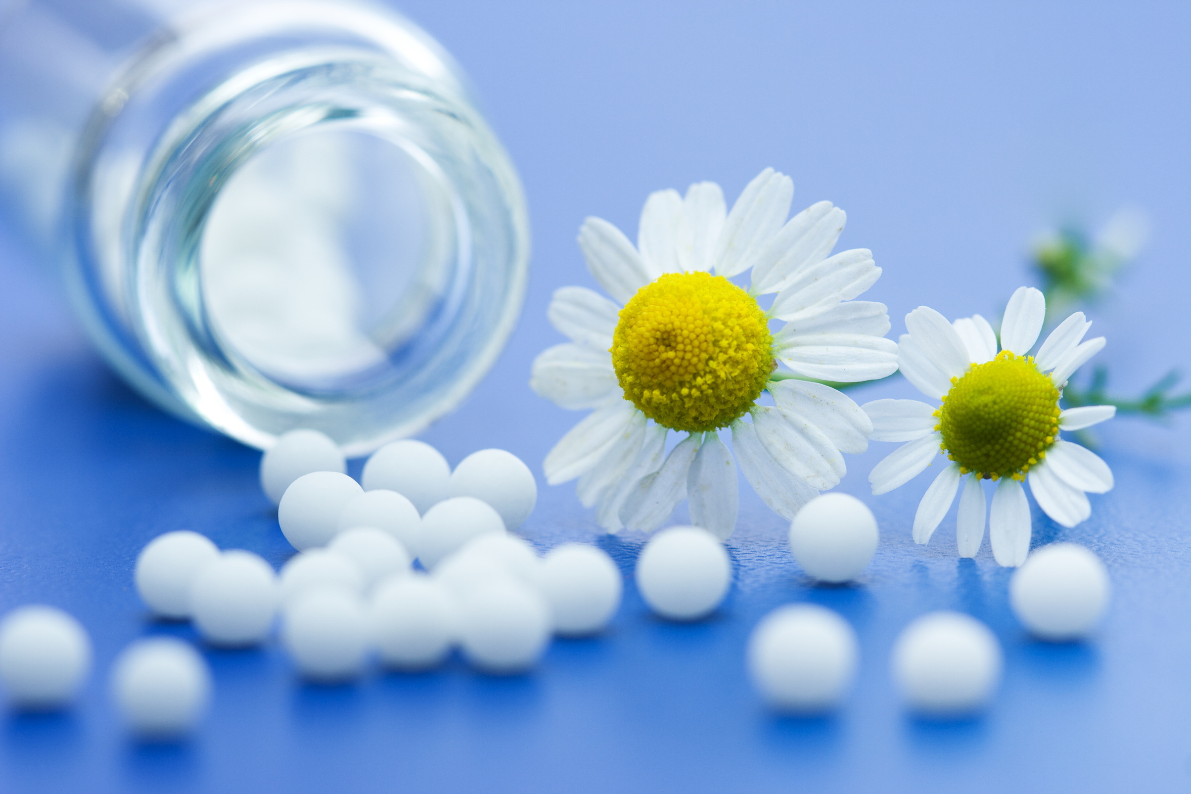 Grief / Bereavement - Gentle Healing - Homeopathy in Dublin and Online