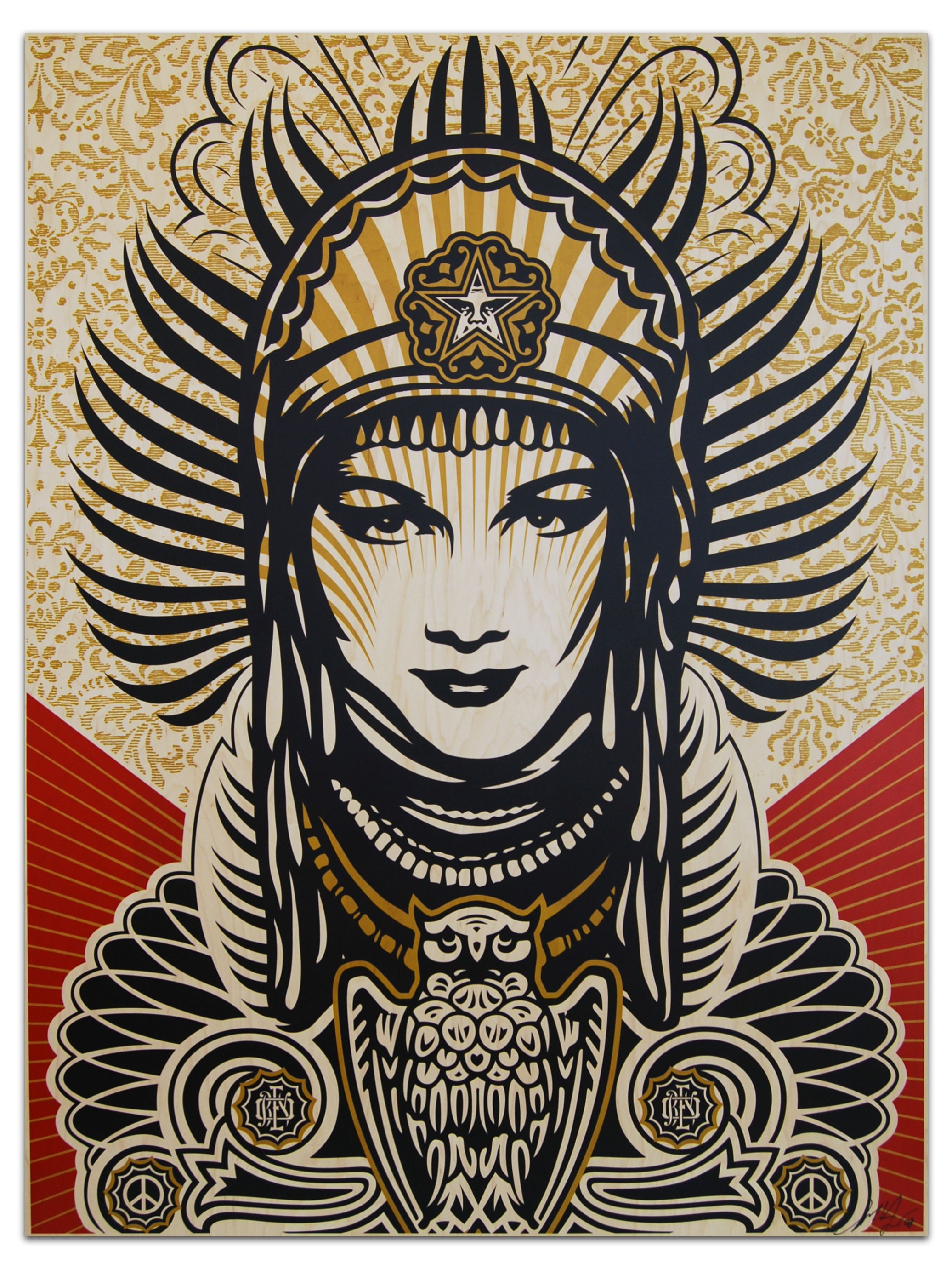 shepard fairey. Grafici, Immagini, Arte