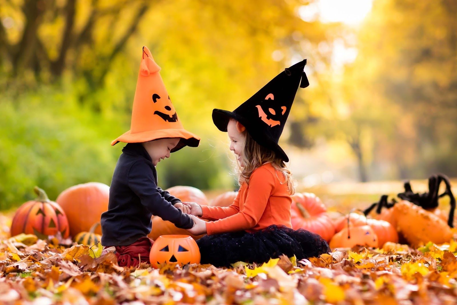 Children Playing With Pumpkin Halloween. Halloween Kids, Halloween Wallpaper, Holidays Halloween