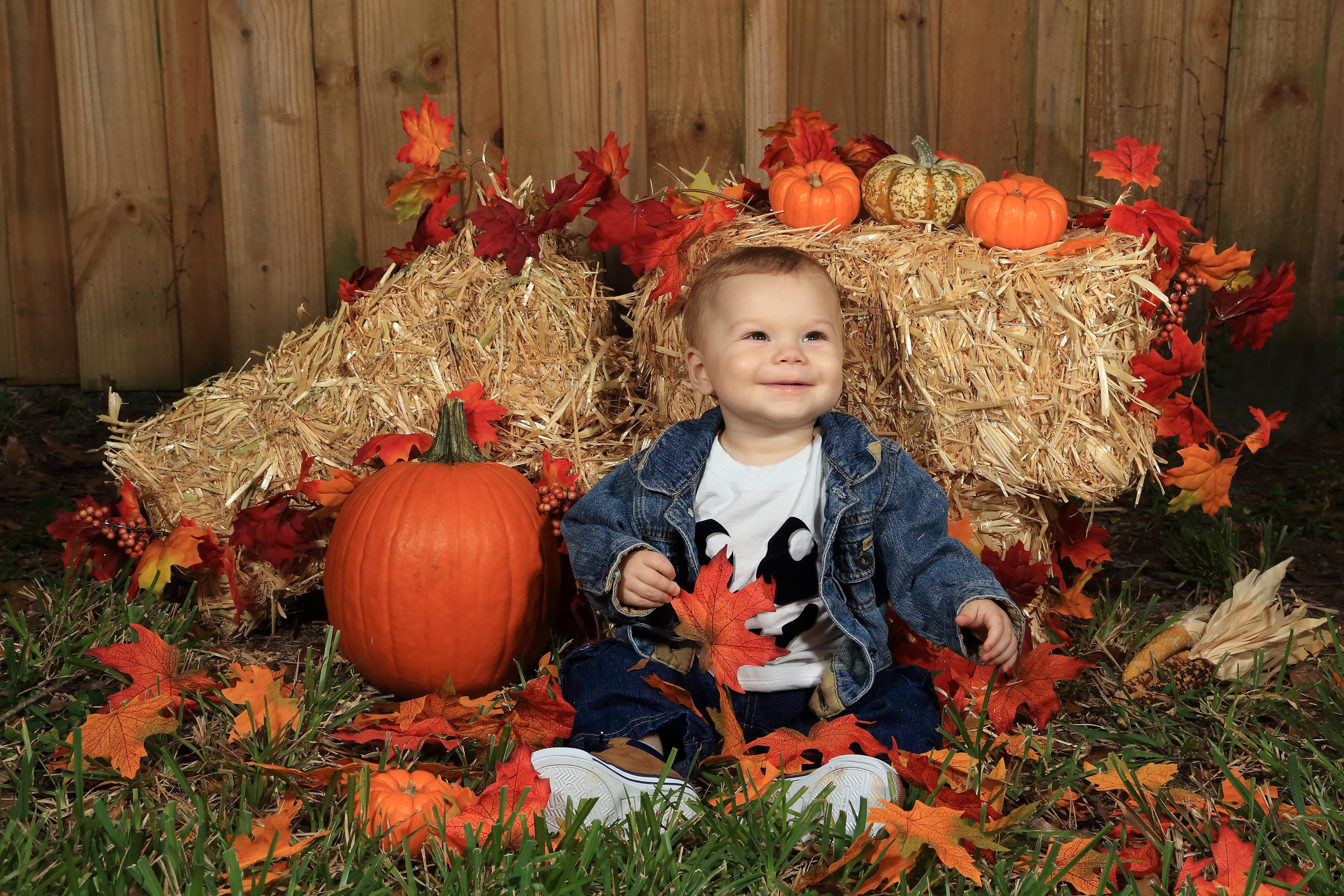 Wallpaper, leaf, pumpkin, autumn, toddler, child, girl, cucurbita, grass, Halloween, calabaza, spring, fun, smile, flower 5472x3648