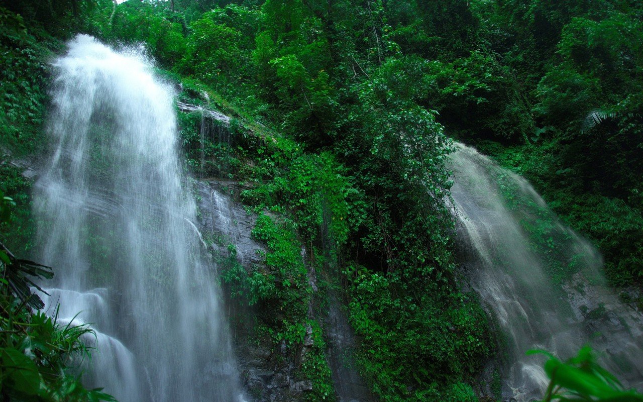 Gorgeous Waterfalls Green Wood wallpaper. Gorgeous Waterfalls Green Wood