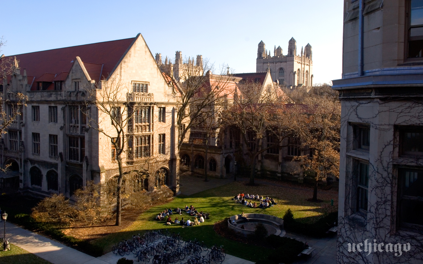 Free download Photo Wallpaper College Admissions The University of Chicago [1440x900] for your Desktop, Mobile & Tablet. Explore University of Chicago Wallpaper. University of Illinois Desktop Wallpaper, Chicago