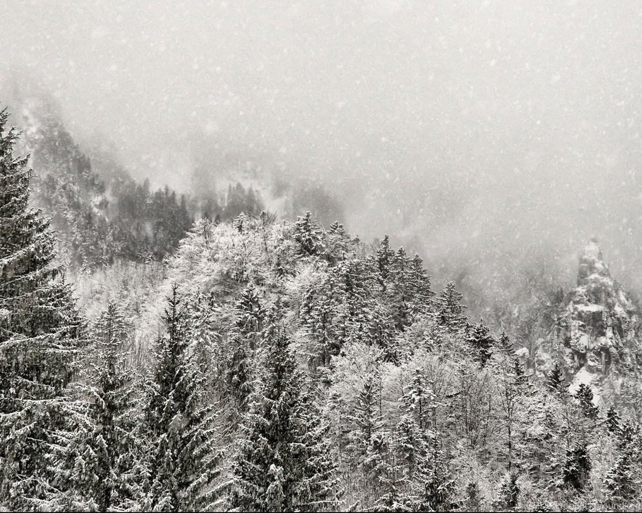Winter Snow Mountains Fog Forest Wallpaper Desktop Background