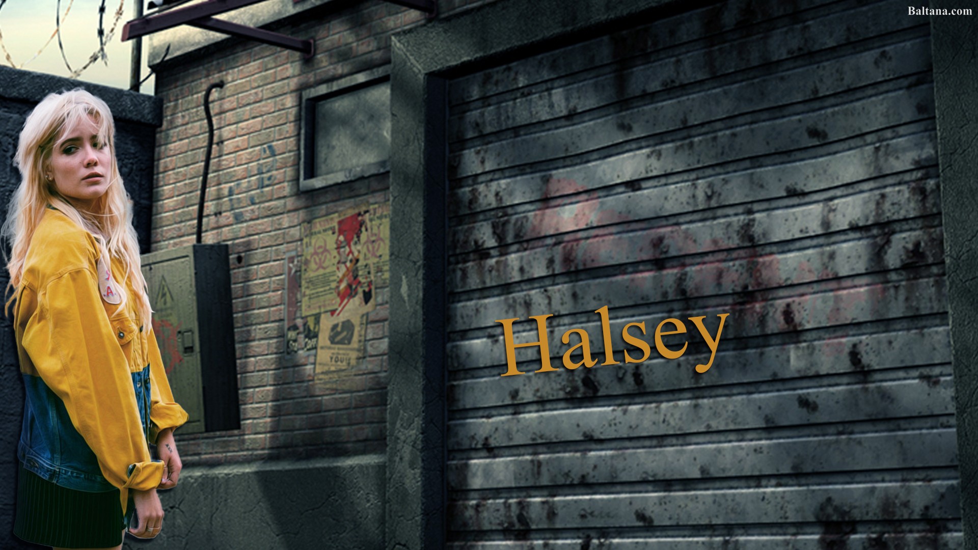 Halsey Desktop Wallpaper