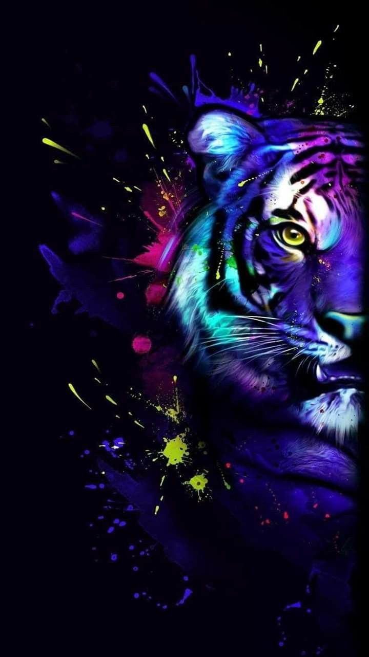 ♥️ My love for Tiger's ♥️. Tiger artwork, Mythical creatures art, Lion art