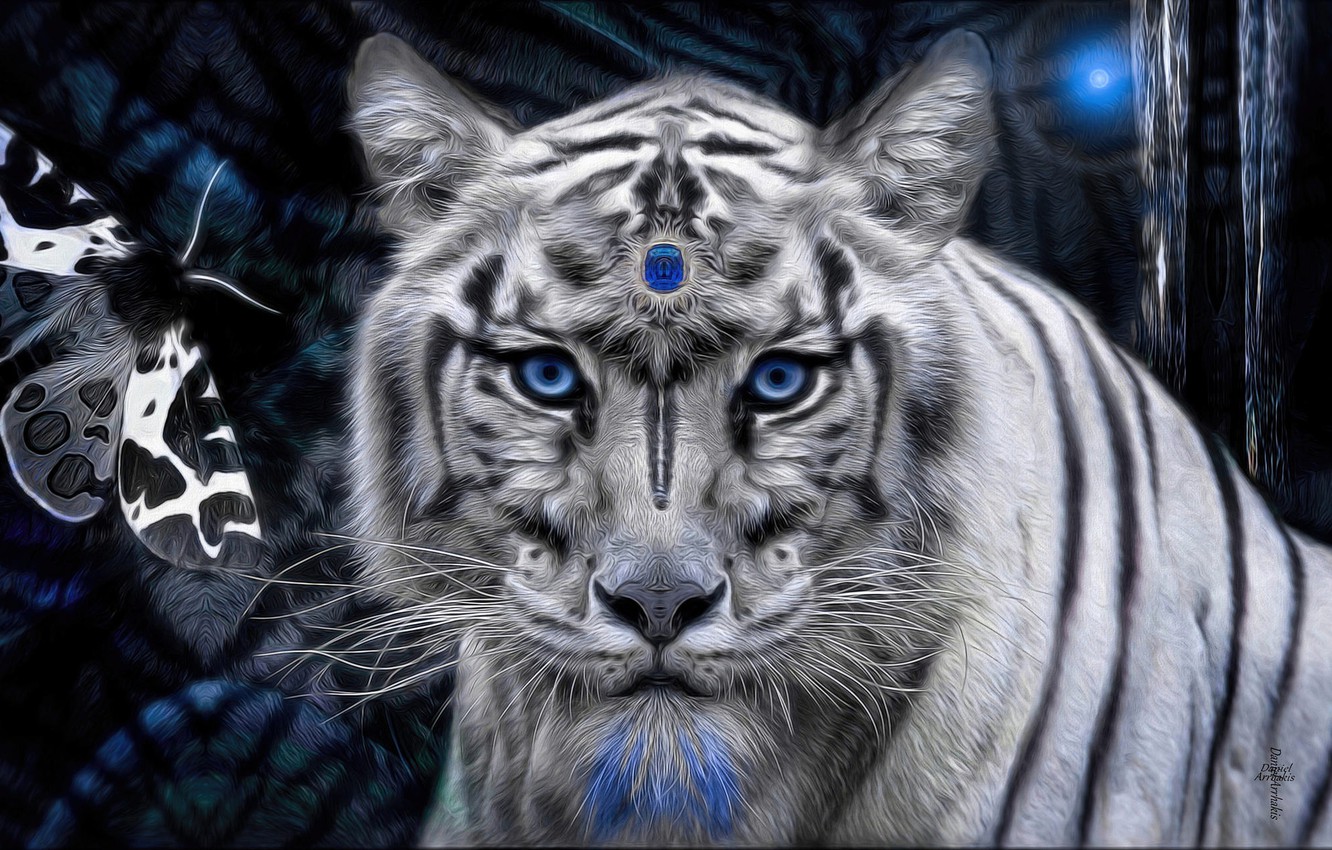 Wallpaper white, tiger, stone, mystic image for desktop, section рендеринг