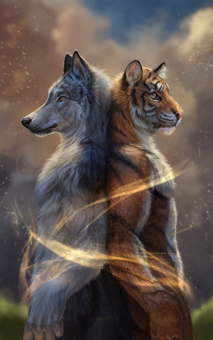 Tiger and Wolf Wallpaper