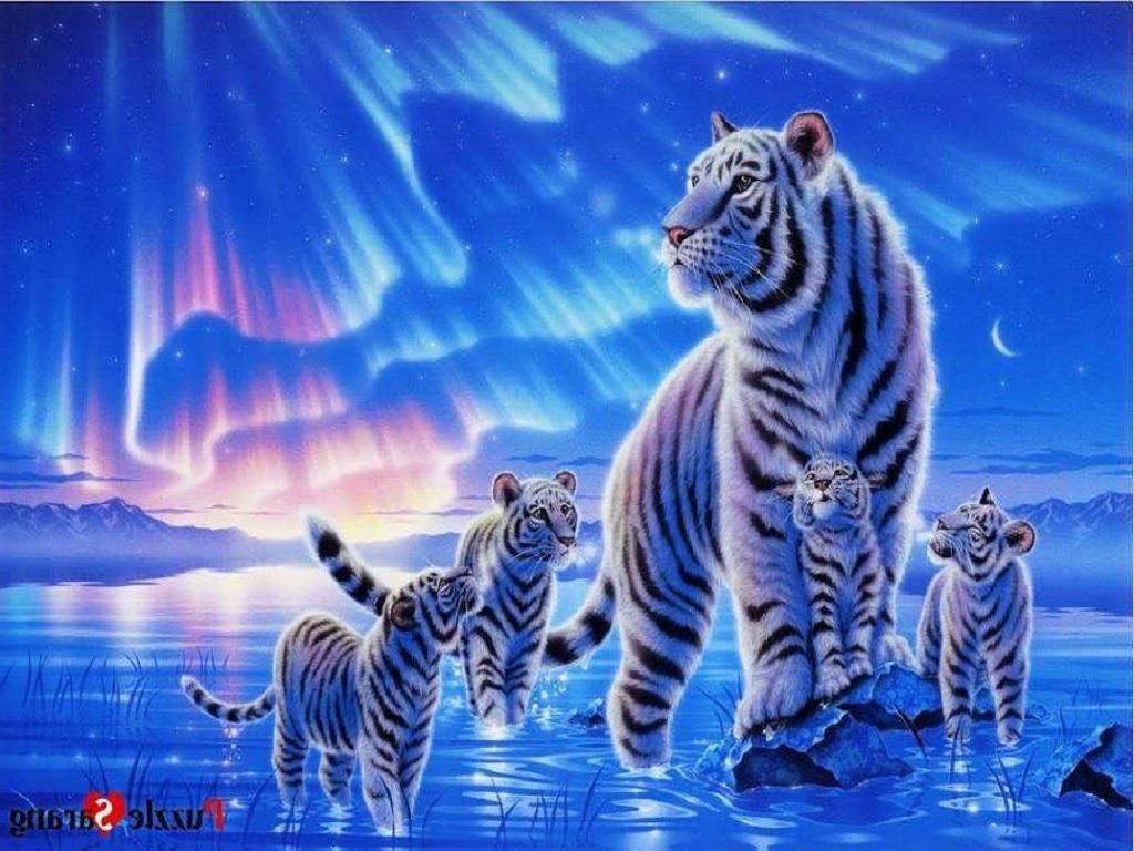 White Tiger Family Animals Fantasy Cats Big #auSt. Tiger image, Animals, Tiger art