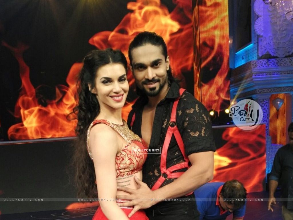 Wallpaper Mellish Wilson size:1024x768