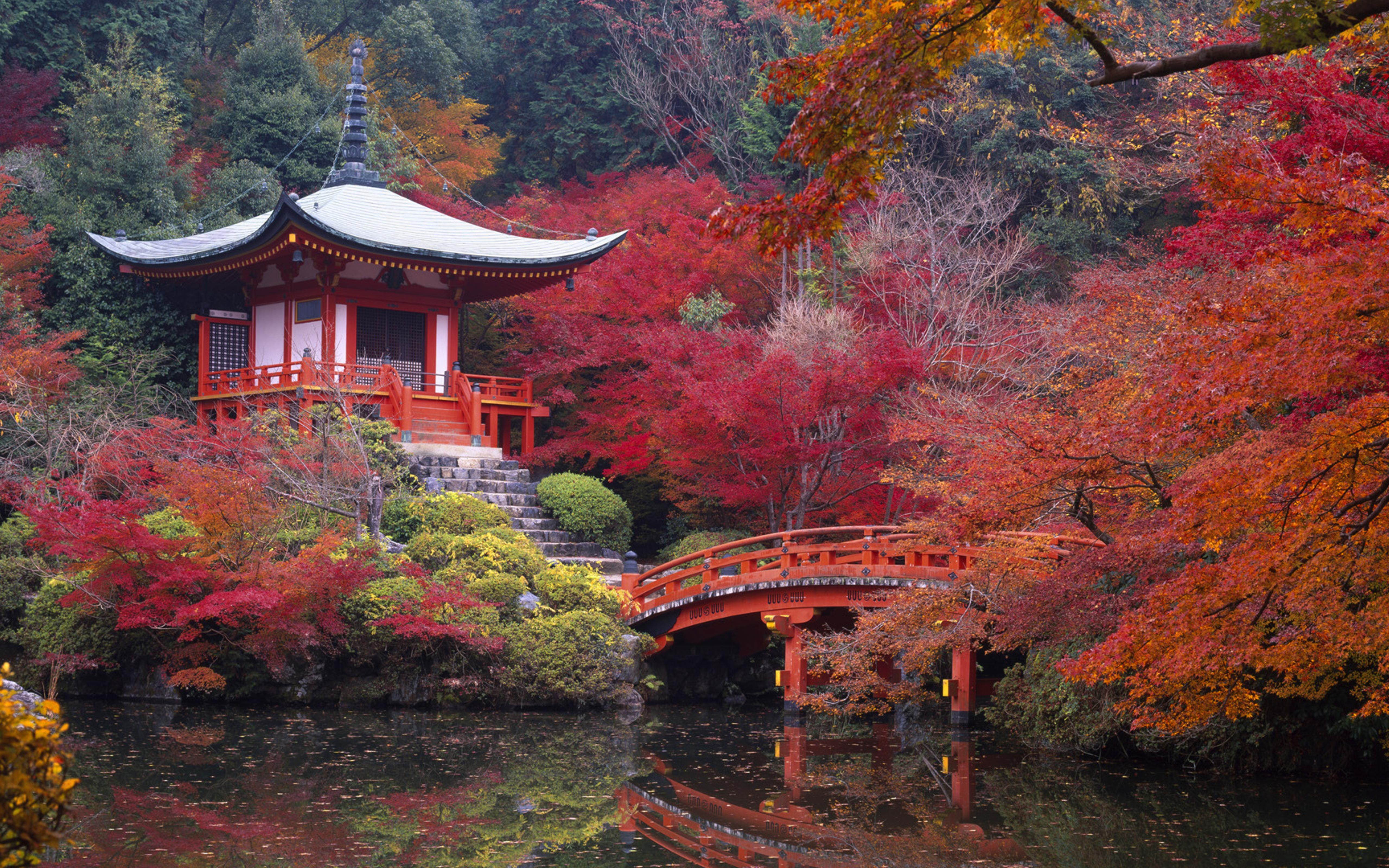 Japanese House and Garden autumn