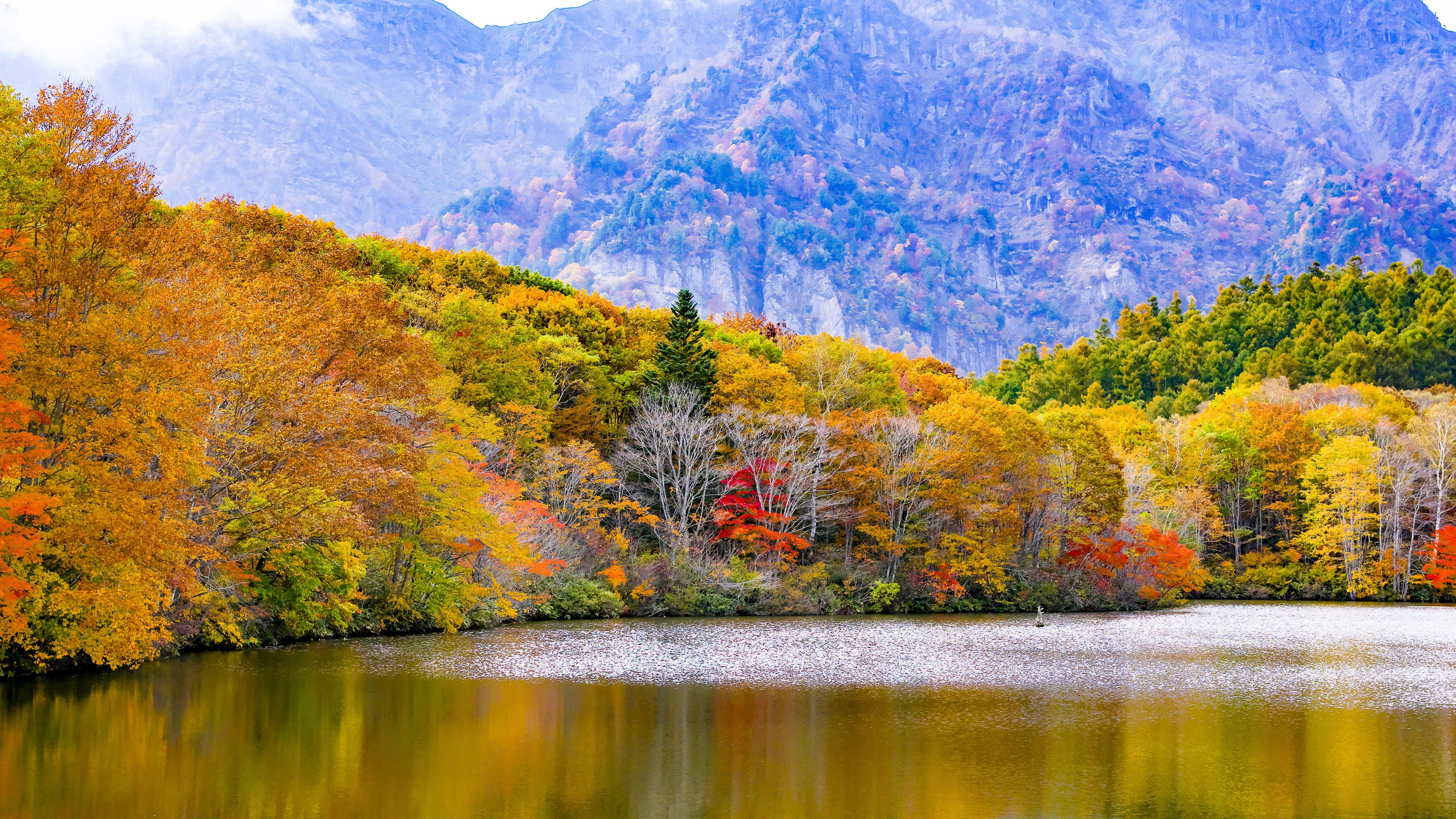 Download wallpaper 3840x2160 japan, togakushi, lake, mountains, trees, autumn 4k uhd 16:9 HD background