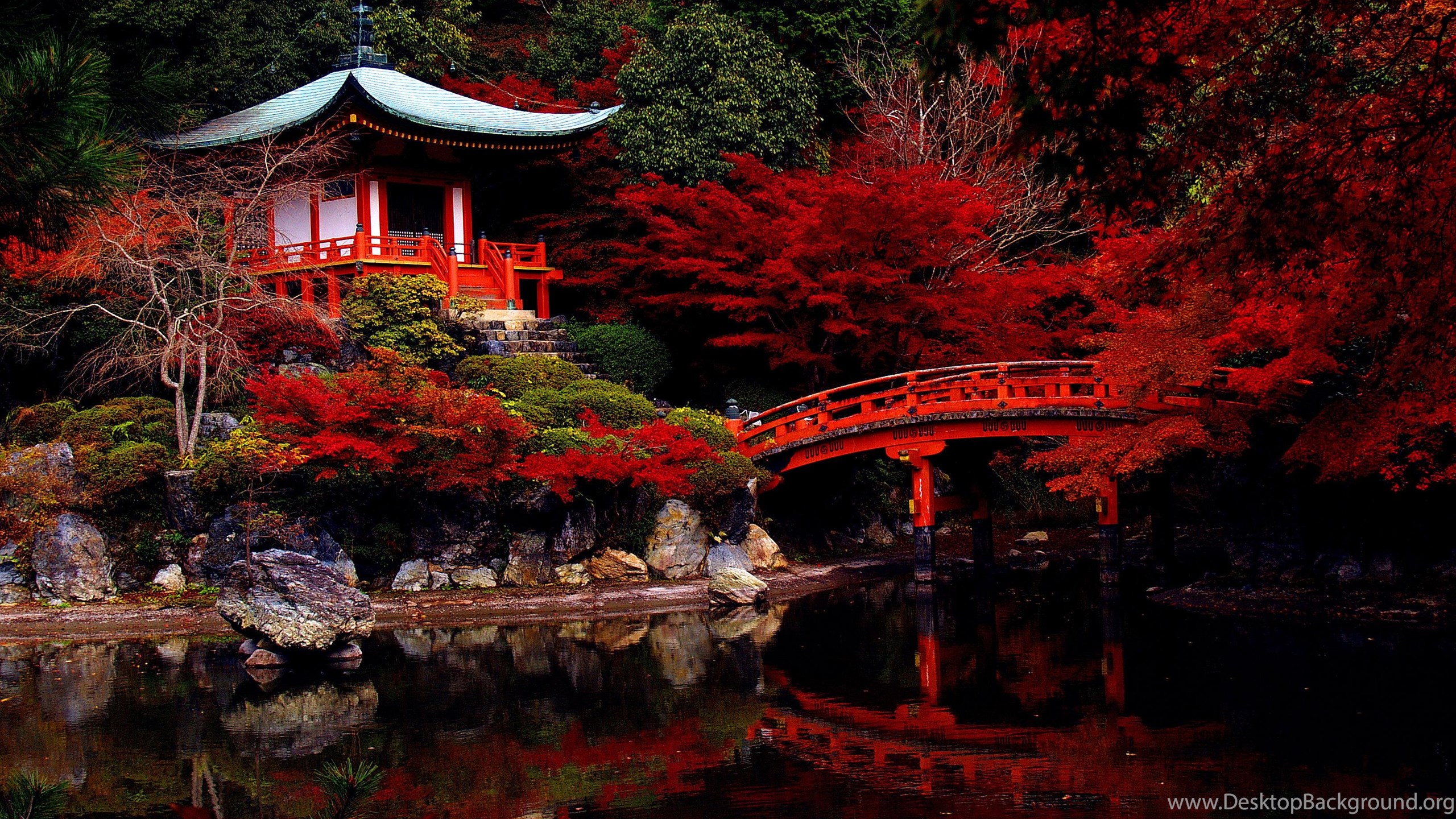 Autumn Japanese Garden Desktop Background