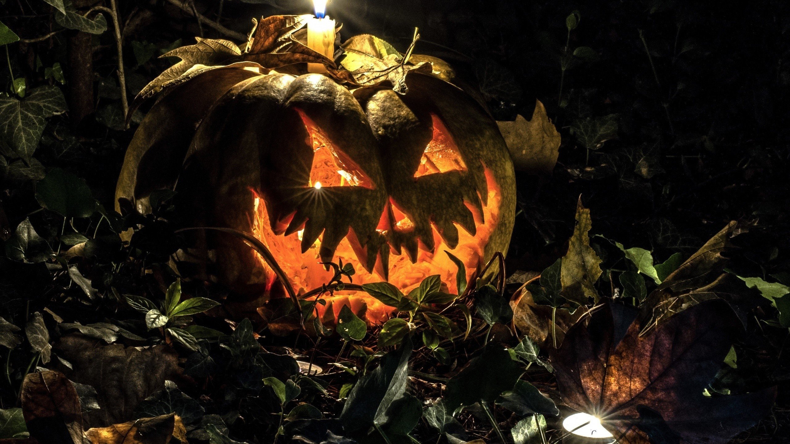 Download 2560x1440 Halloween, Pumpkin, Autumn, Night, Creepy Wallpaper for iMac 27 inch