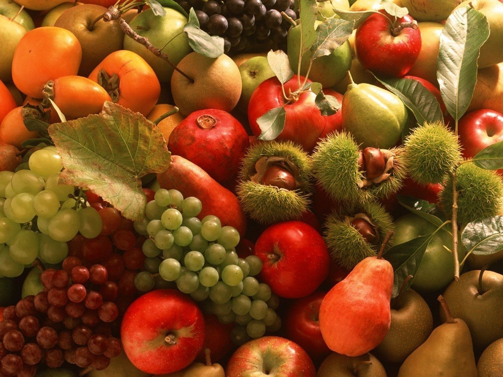 autumn season fruits leaves grapes nuts pomegranate pears tomatoes 1600x1200 wallpaper