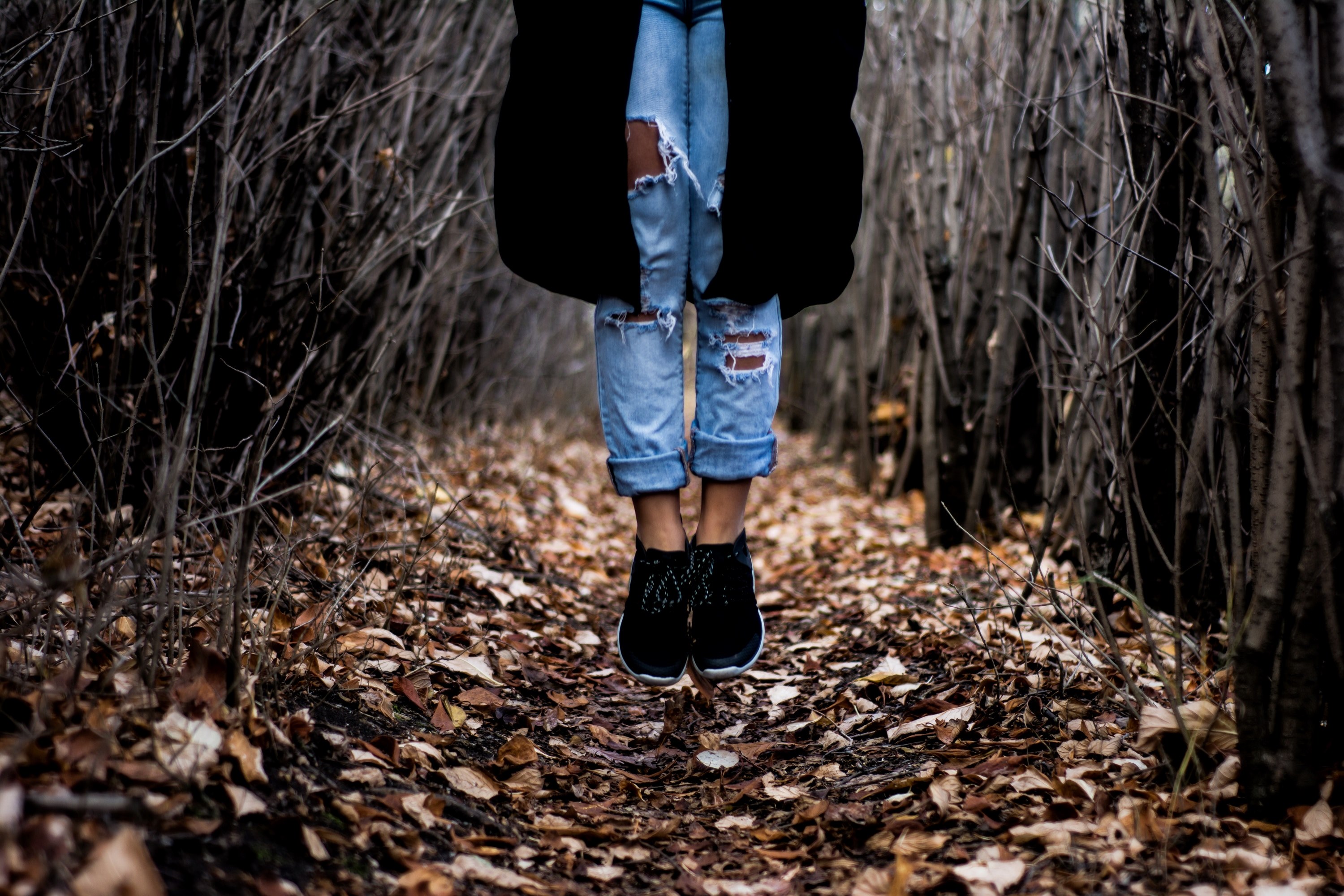 Wallpaper / a person in ripped jeans jumping up on a carpet of autumn leaves in a thicket, over a leaf covered path 4k wallpaper