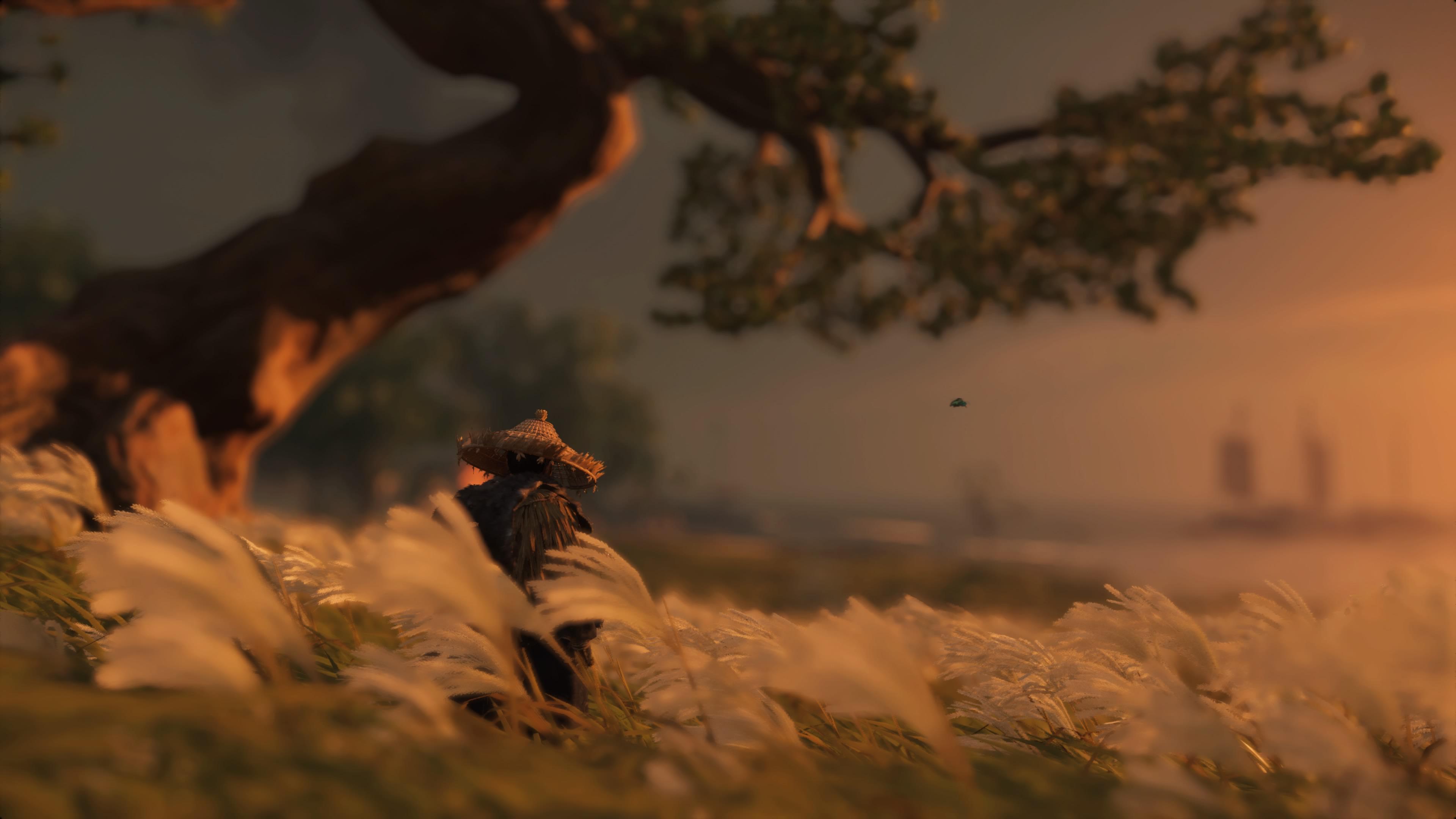 Nightfall 4K wallpaper for your desktop or mobile screen free and easy to download