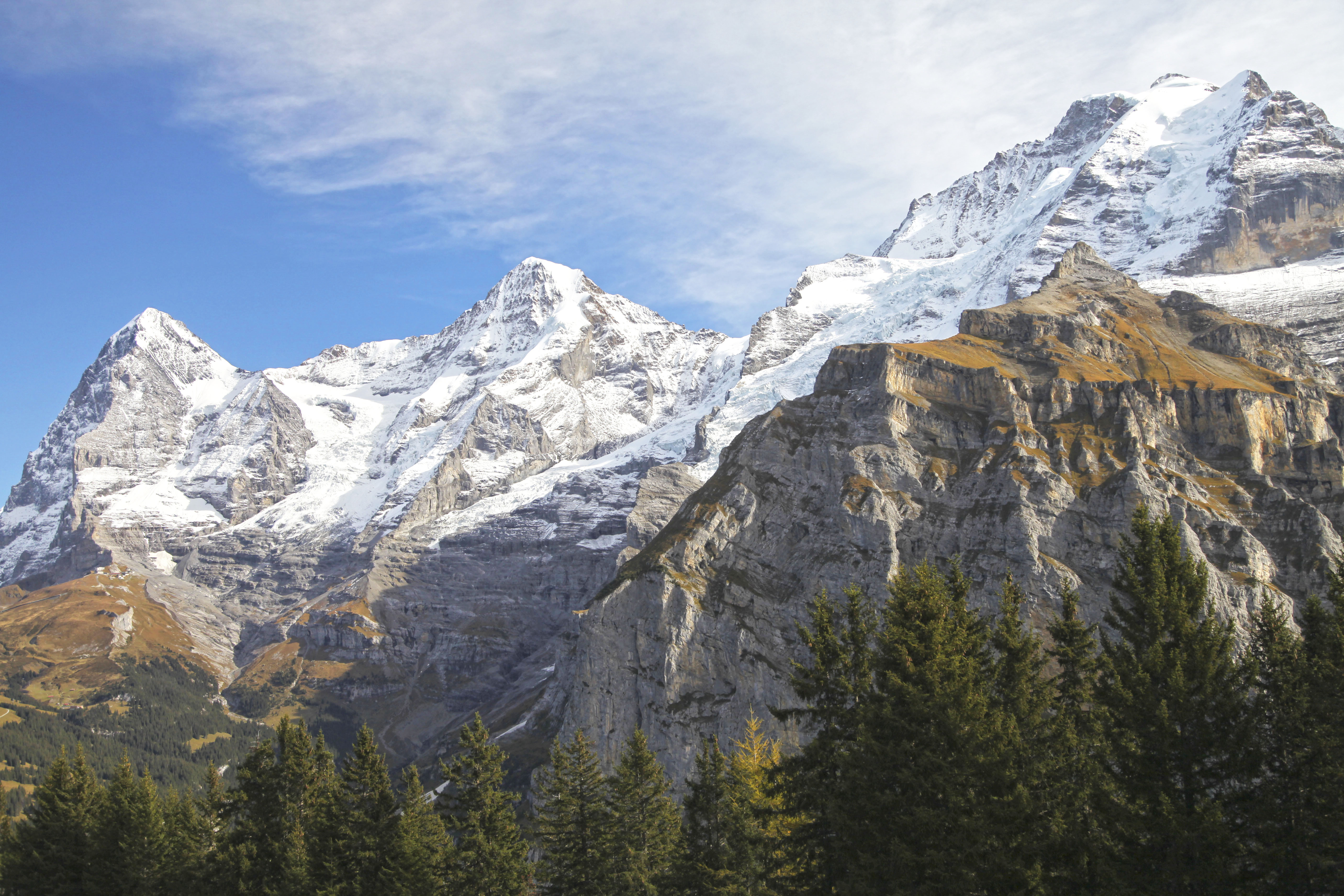 Wallpaper, mountains, pine trees, snow, clear sky, Jungfrau, Switzerland 5616x3744