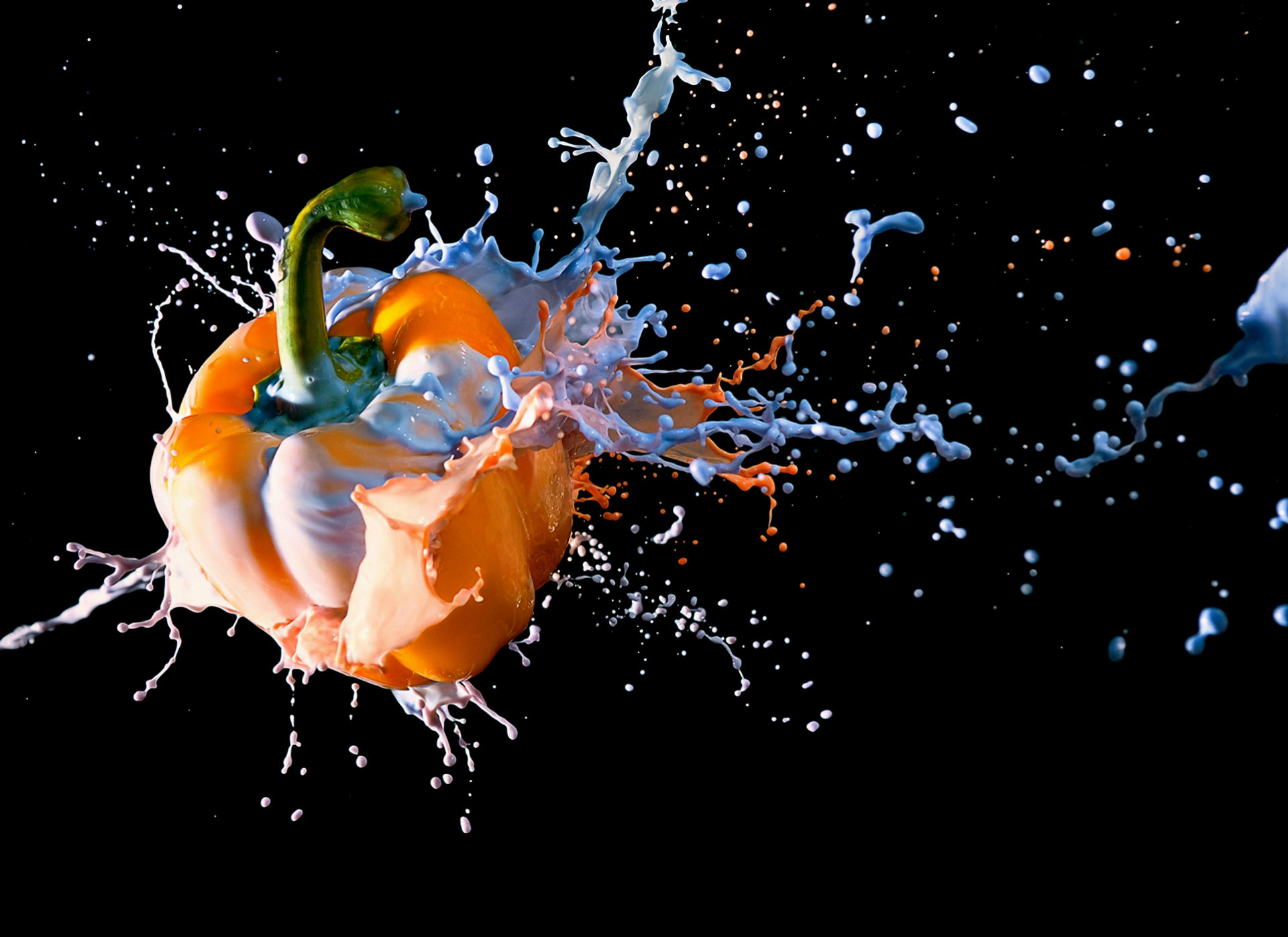 Food Artistic Wallpaper:1920x1397