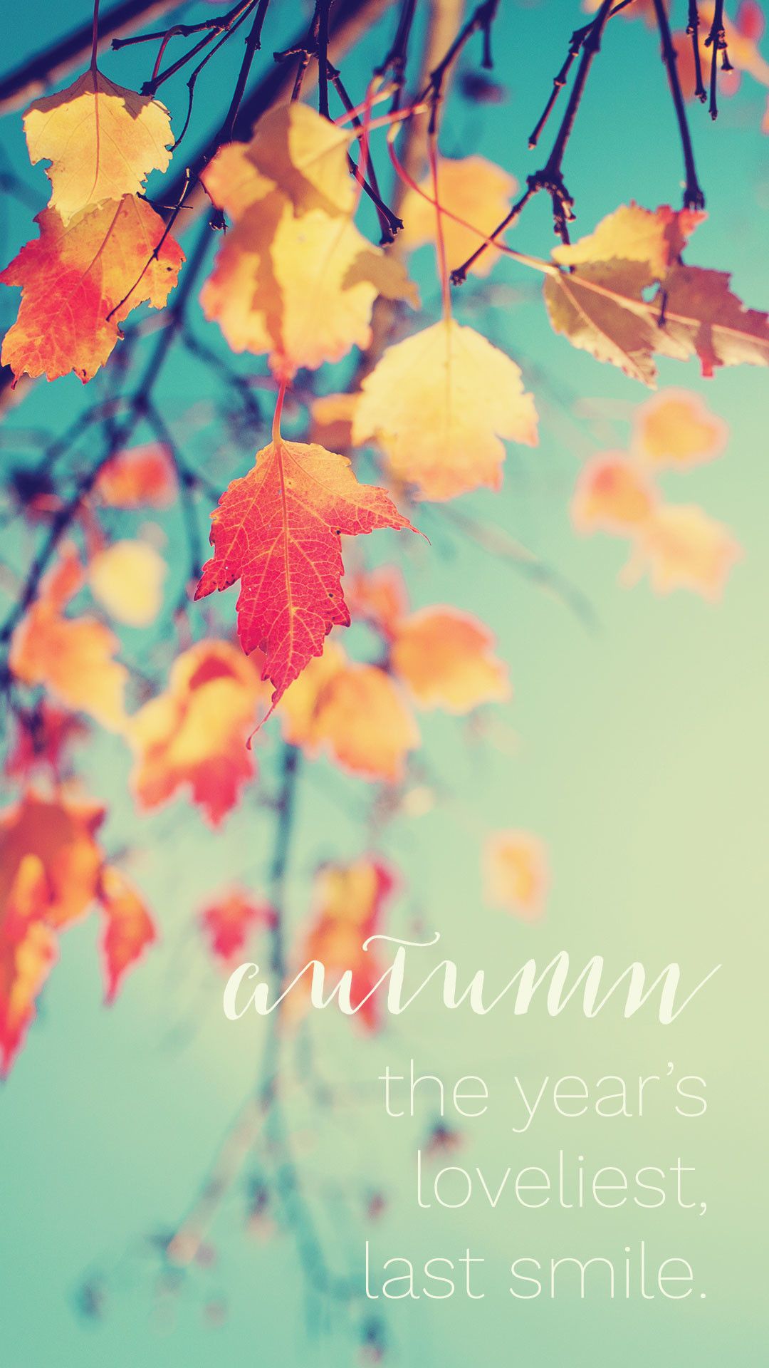 iPhone 6s Autumn Wallpaper