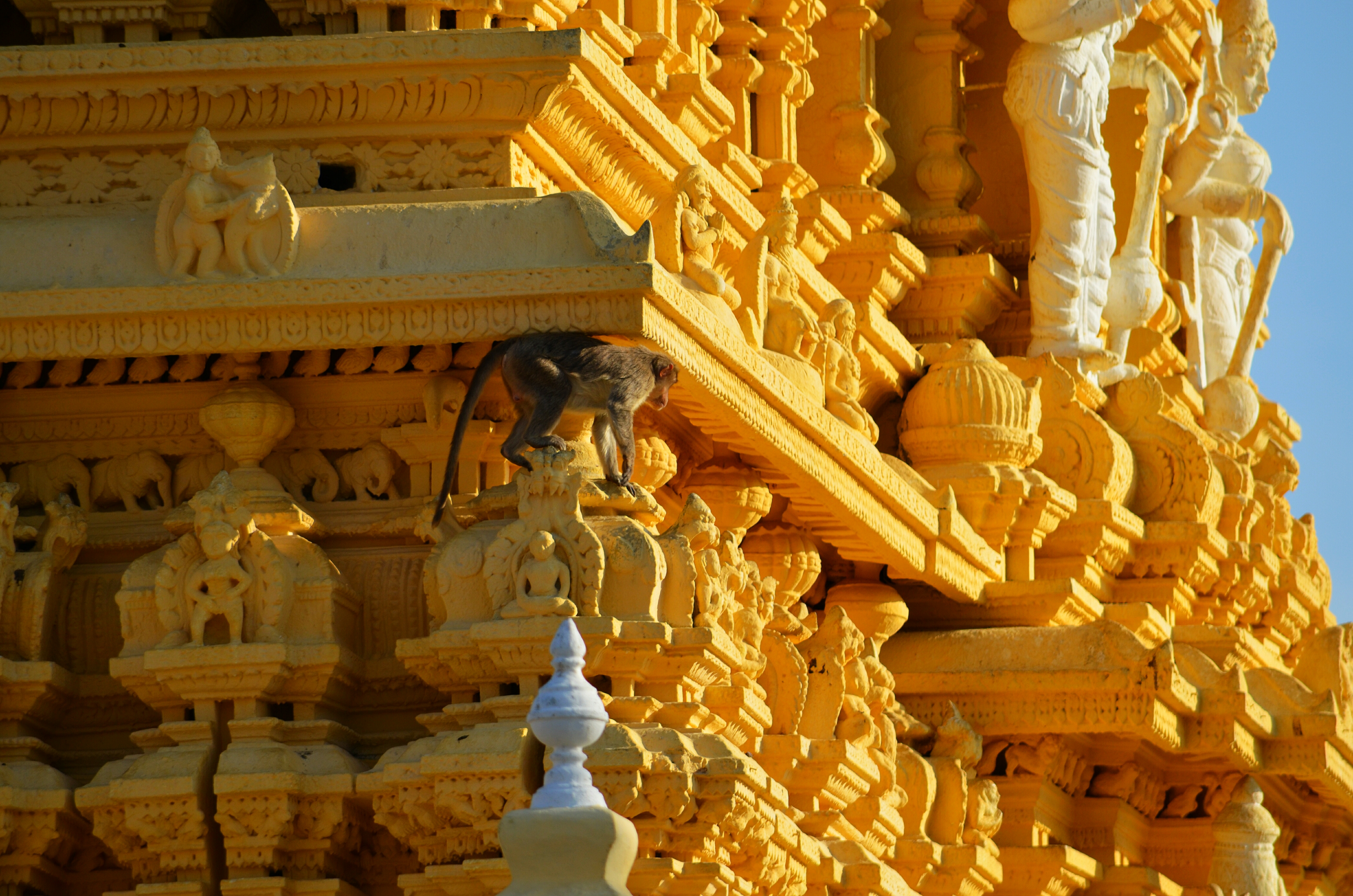 Wallpaper, monument, animals, temple, monkey, mysore, chamundi, mygearandme, flickrandroidapp filter none 4160x2755
