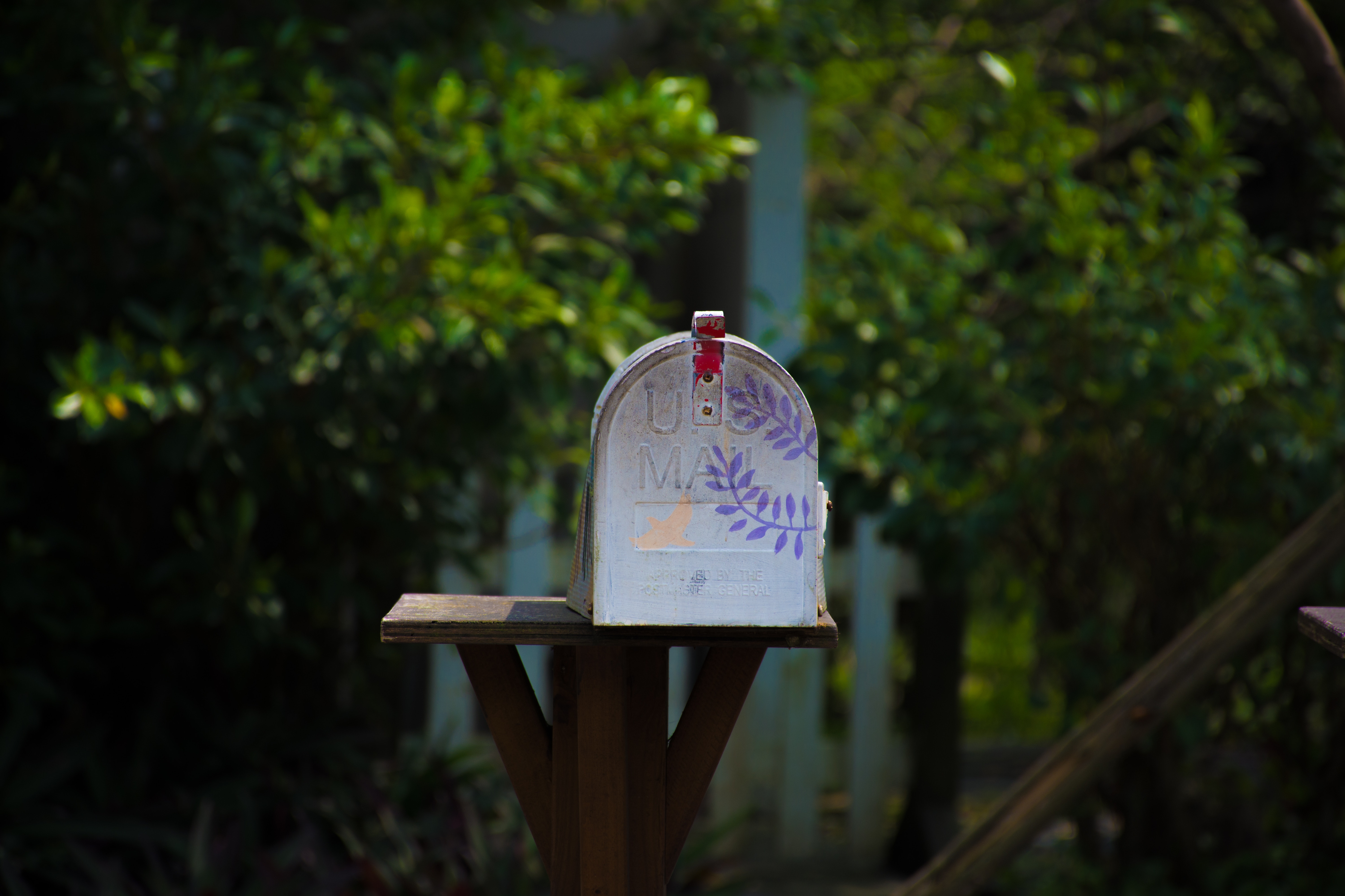 6000x4000 #mail, #garden, #leaf, #mail box, #postmail, #suburb, #building, #purple, #focused, #post office, #stencil, #PNG image, #letter, #mailbox. Mocah HD Wallpaper