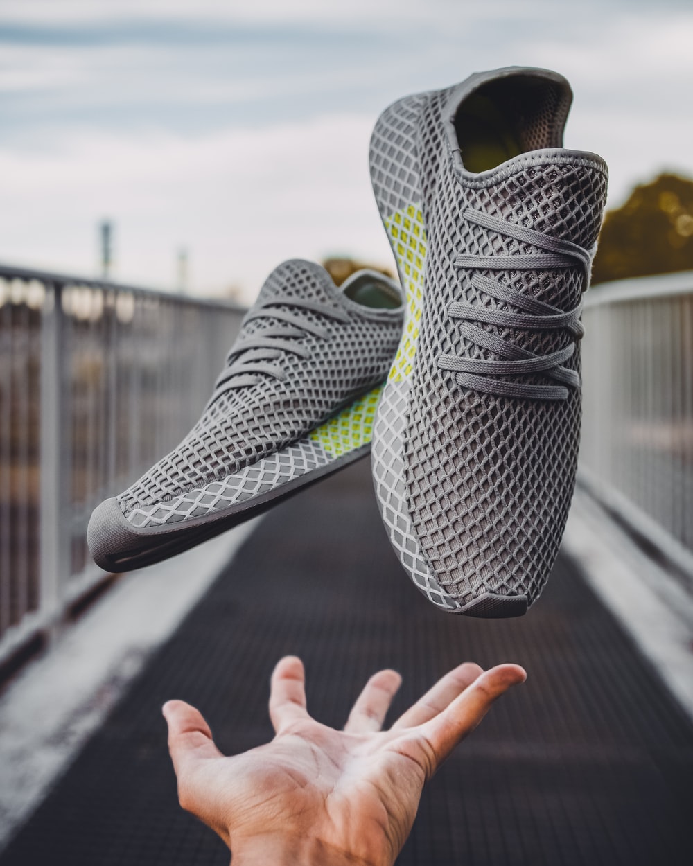 Running Shoes Picture [HQ]. Download Free Image