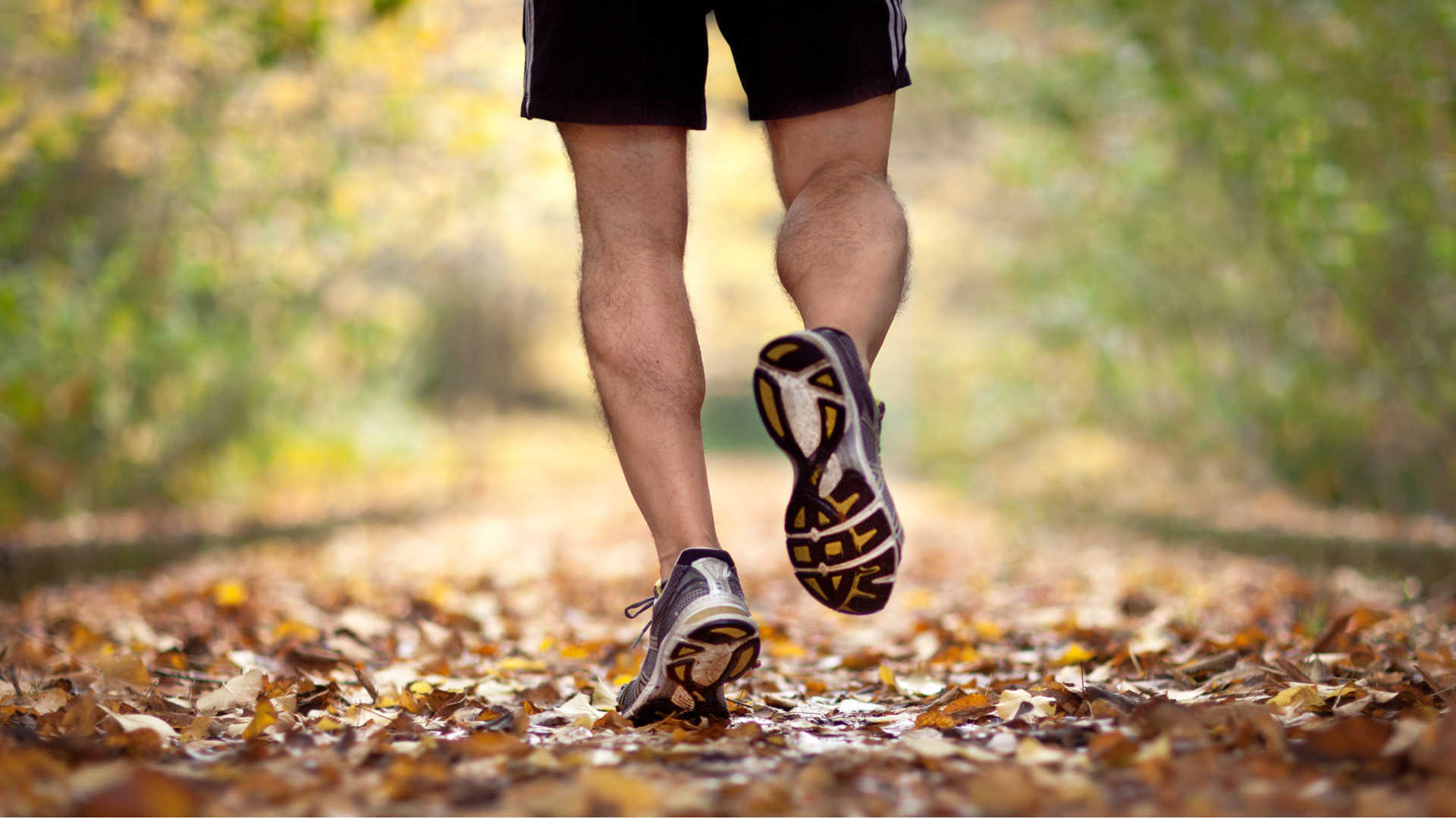 Jogging Background Images, HD Pictures and Wallpaper For Free Download |  Pngtree