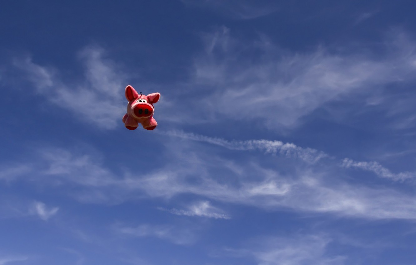 Wallpaper the sky, toy, pig, pig, flying pig image for desktop, section минимализм