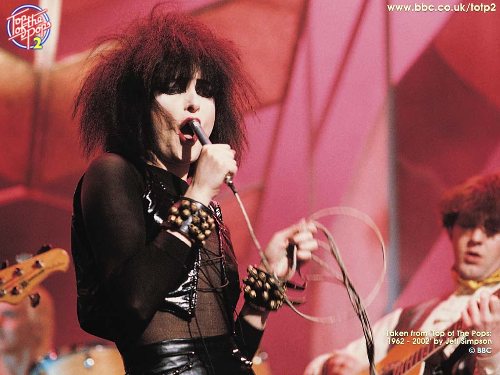 Cool siouxsie and the banshees