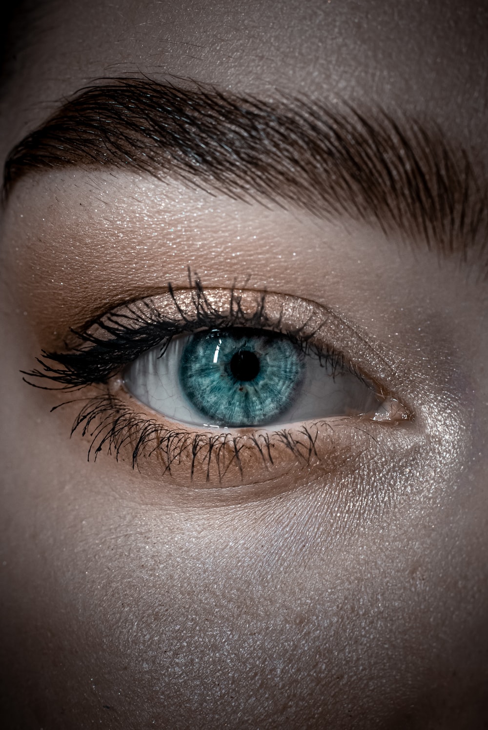Blue Eyes Picture [HD]. Download Free Image