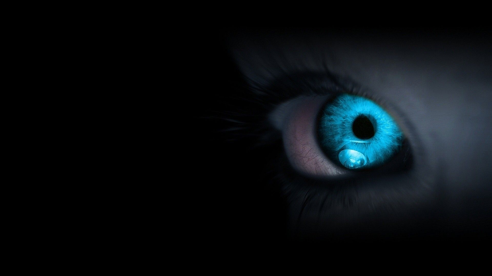 Beautiful Blue Eyes Women. Eyes wallpaper, Turquoise eyes, Blue eyes
