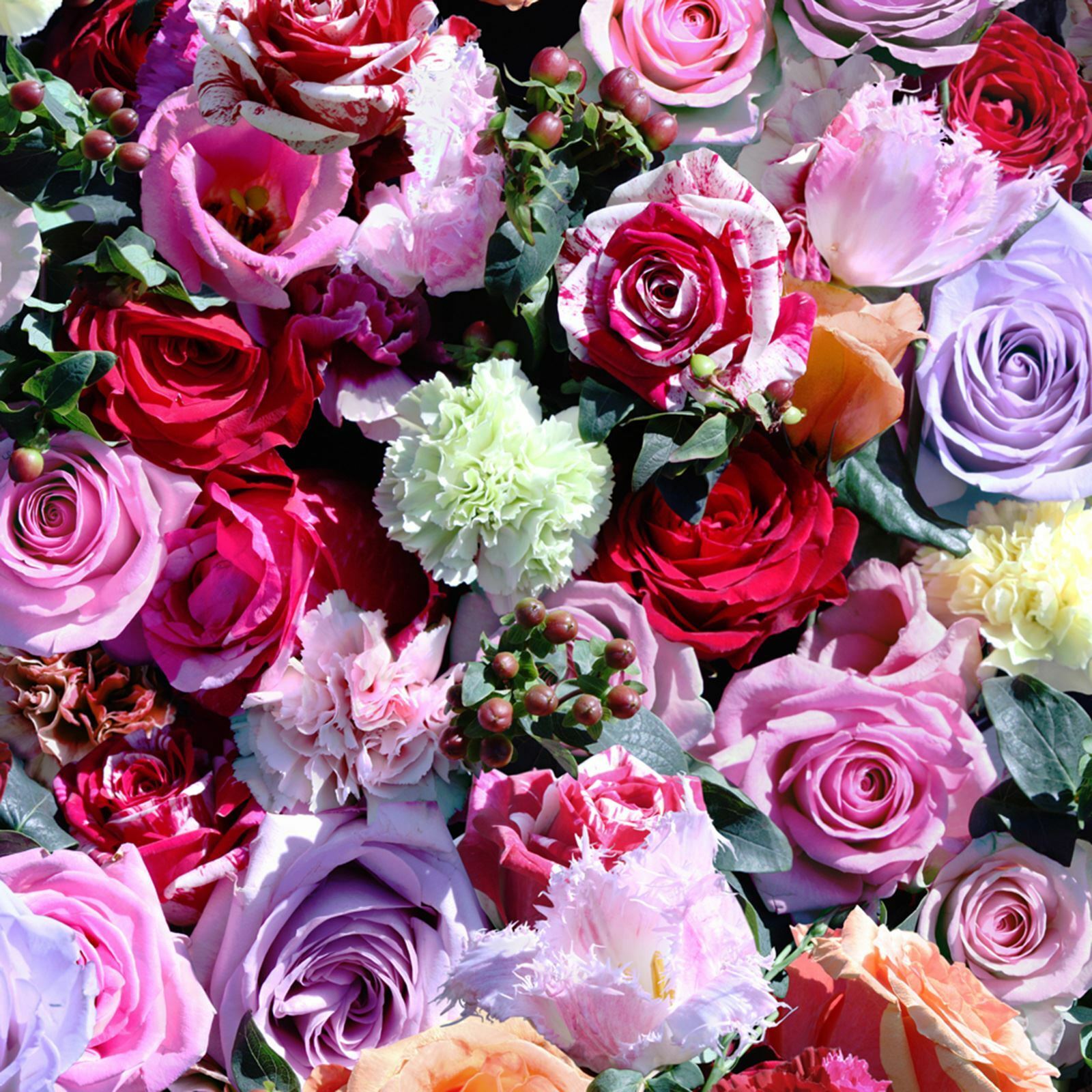 EBAY Muriva UGEPA Kaleidoscope Roses Red Wallpaper J97010 Floral online