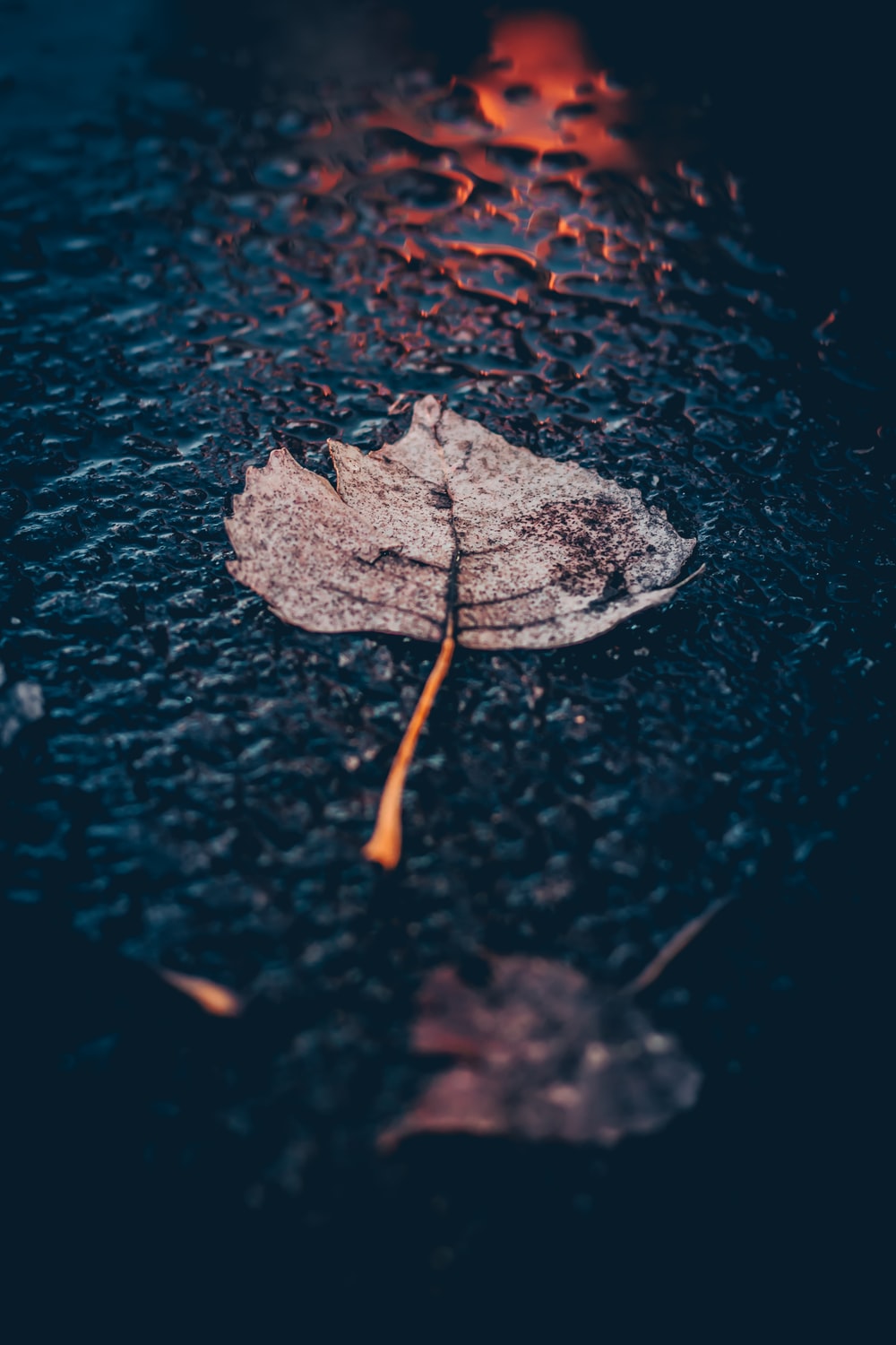 Free download 350 Rain Wallpaper [HD] Download Image On [1000x1500] for your Desktop, Mobile & Tablet. Explore Wallpaper Rain. Rain Wallpaper, Rain Wallpaper, Rain Drop Wallpaper