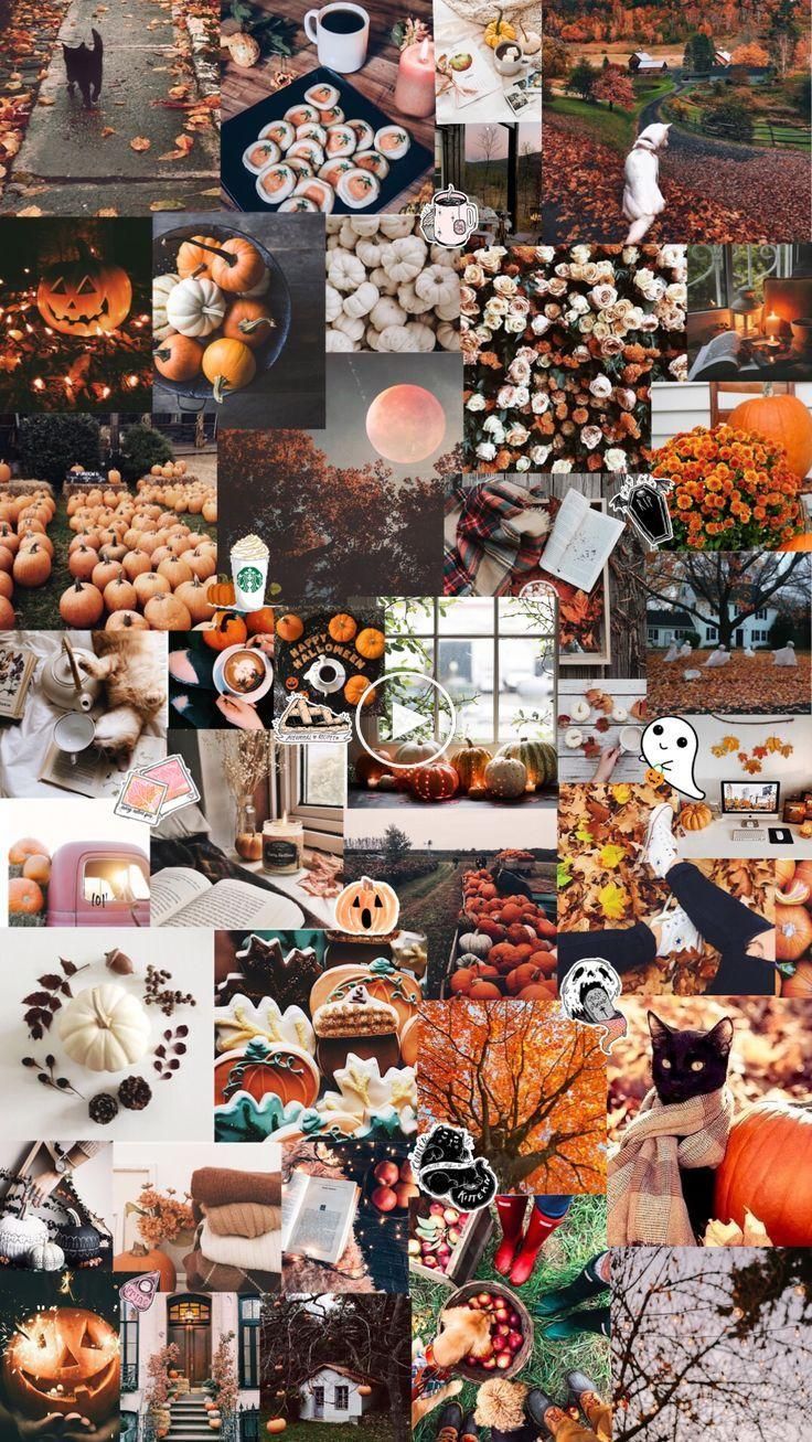 Fall / Halloween Aesthetic Background - #Aesthetic #Halloween #hallow. Cute fall wallpaper, Fall wallpaper, iPhone wallpaper fall