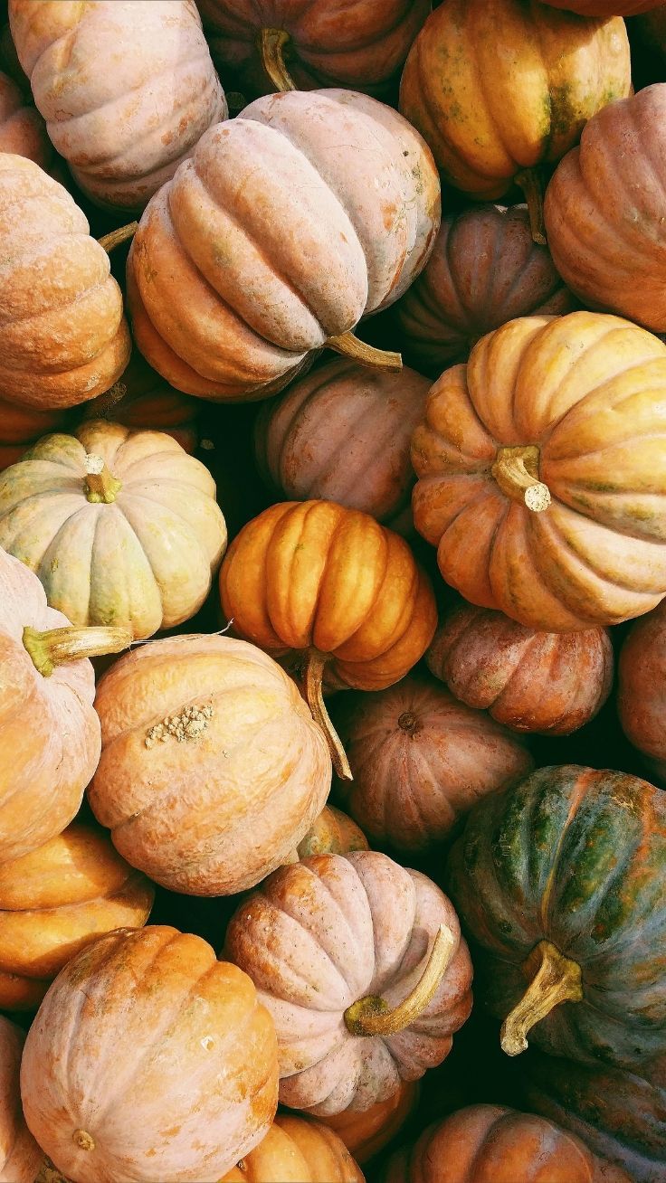 iPhone Wallpaper To Fall In Love With Autumn. Preppy Wallpaper. Free fall wallpaper, Preppy wallpaper, Pumpkin wallpaper