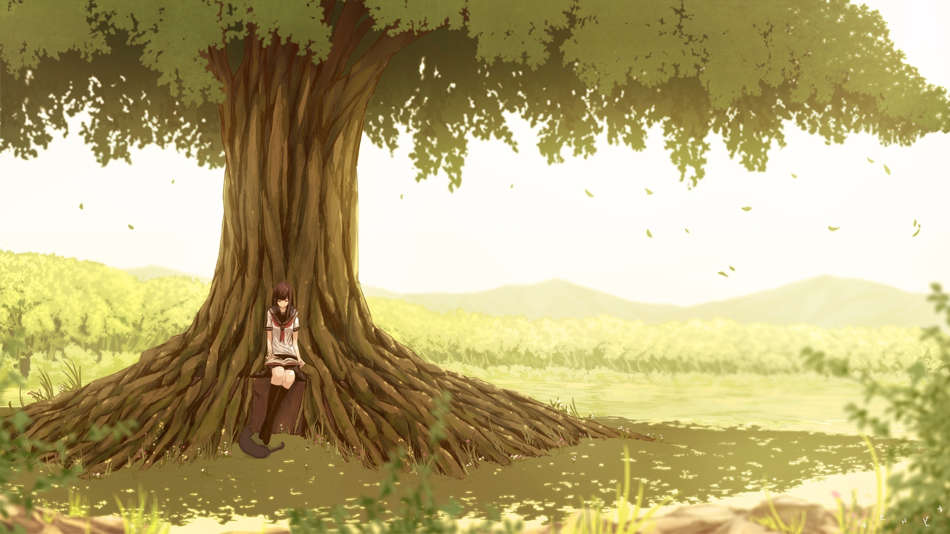 Wallpaper Reading A Book, Scenic, Anime Girl, Landscape, Giant Tree:1920x1080