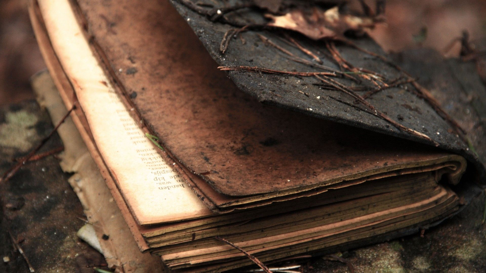 Burned Brown Book HD Brown Aesthetic Wallpaper