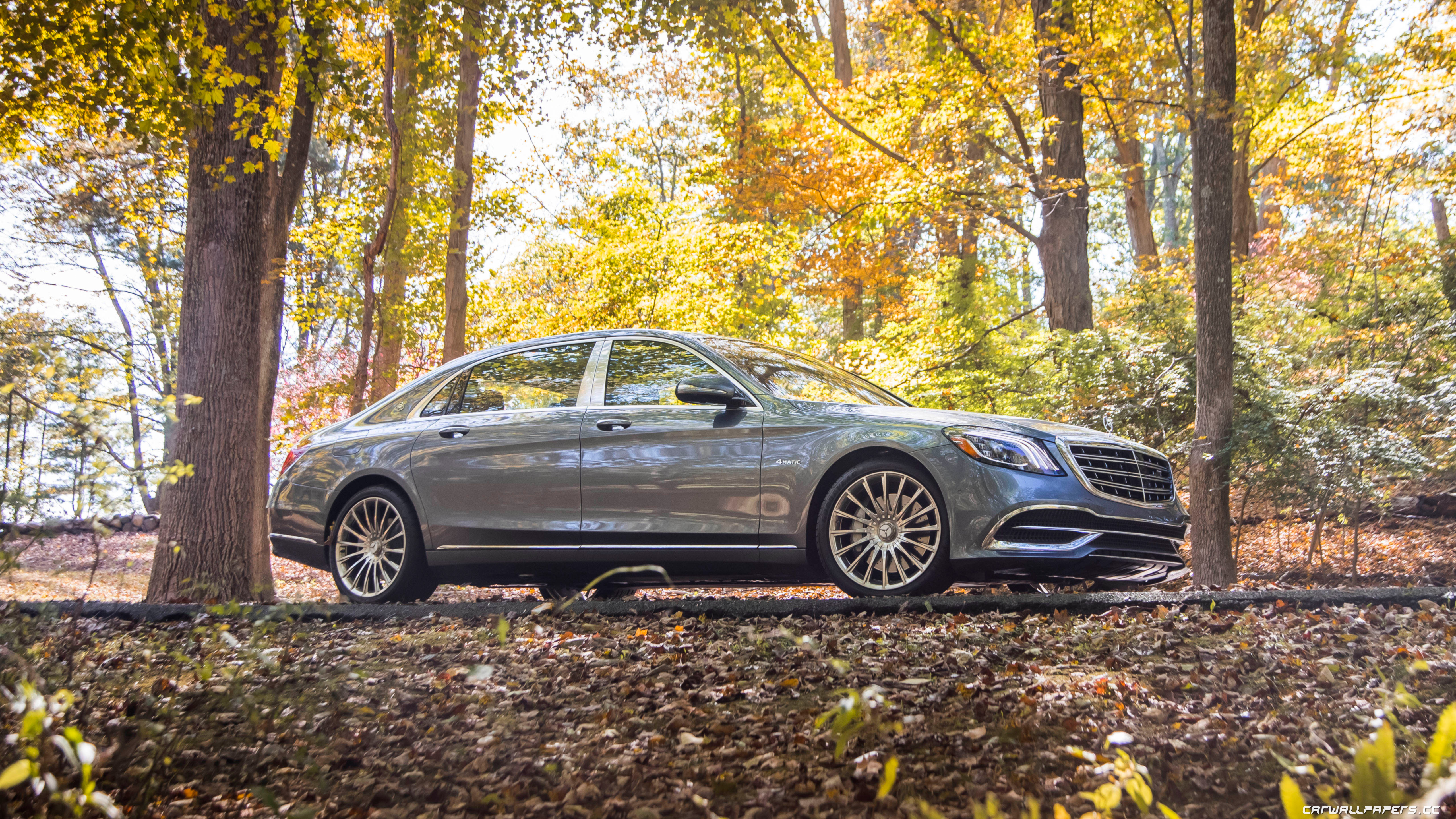 Mercedes Maybach 2018 Back Seat