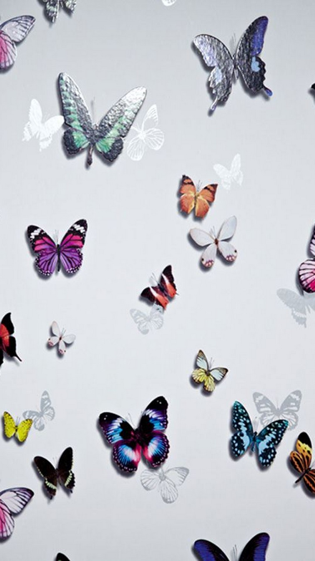 Butterfly HD Wallpaper For Android Android Wallpaper